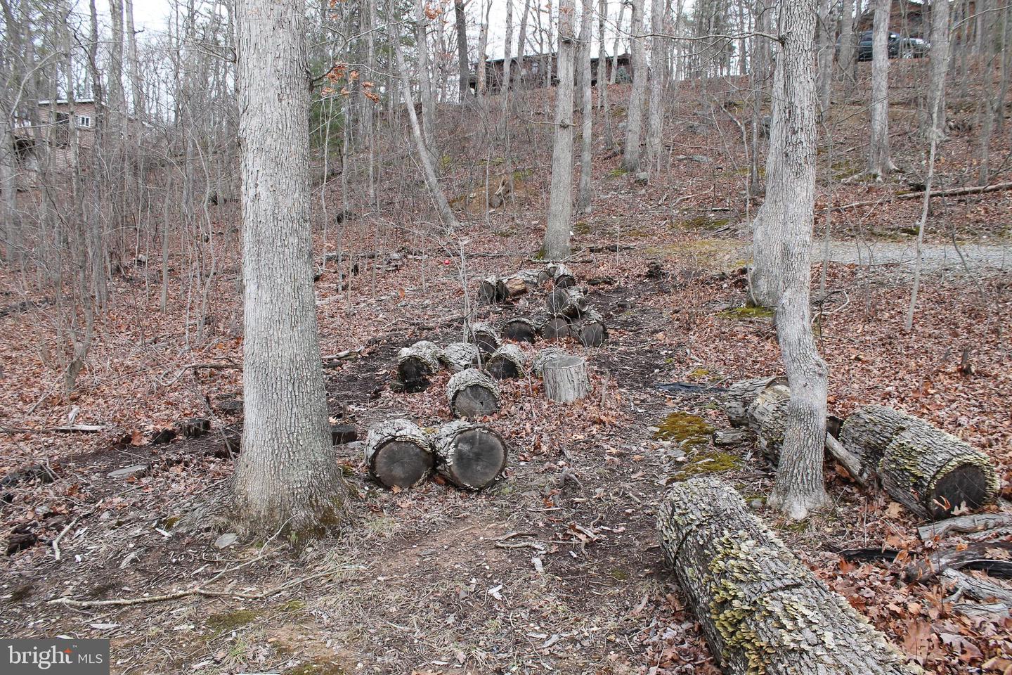 0 LAKEVIEW, CROSS JUNCTION, Virginia 22625, ,Land,For sale,0 LAKEVIEW,VAFV2039938 MLS # VAFV2039938