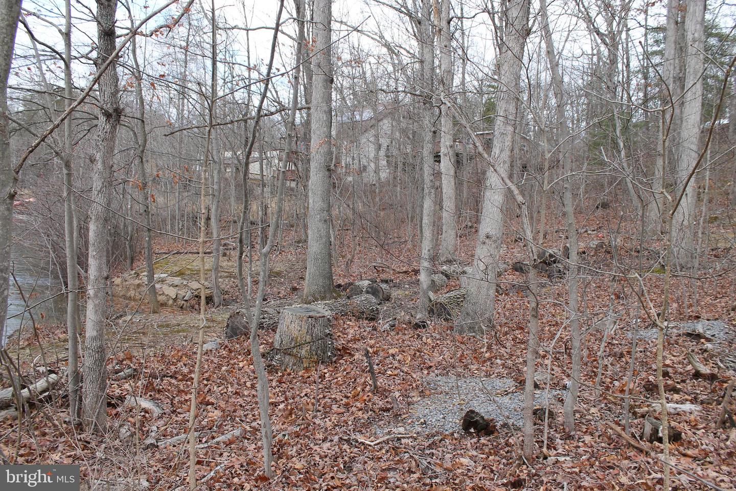 0 LAKEVIEW, CROSS JUNCTION, Virginia 22625, ,Land,For sale,0 LAKEVIEW,VAFV2039938 MLS # VAFV2039938