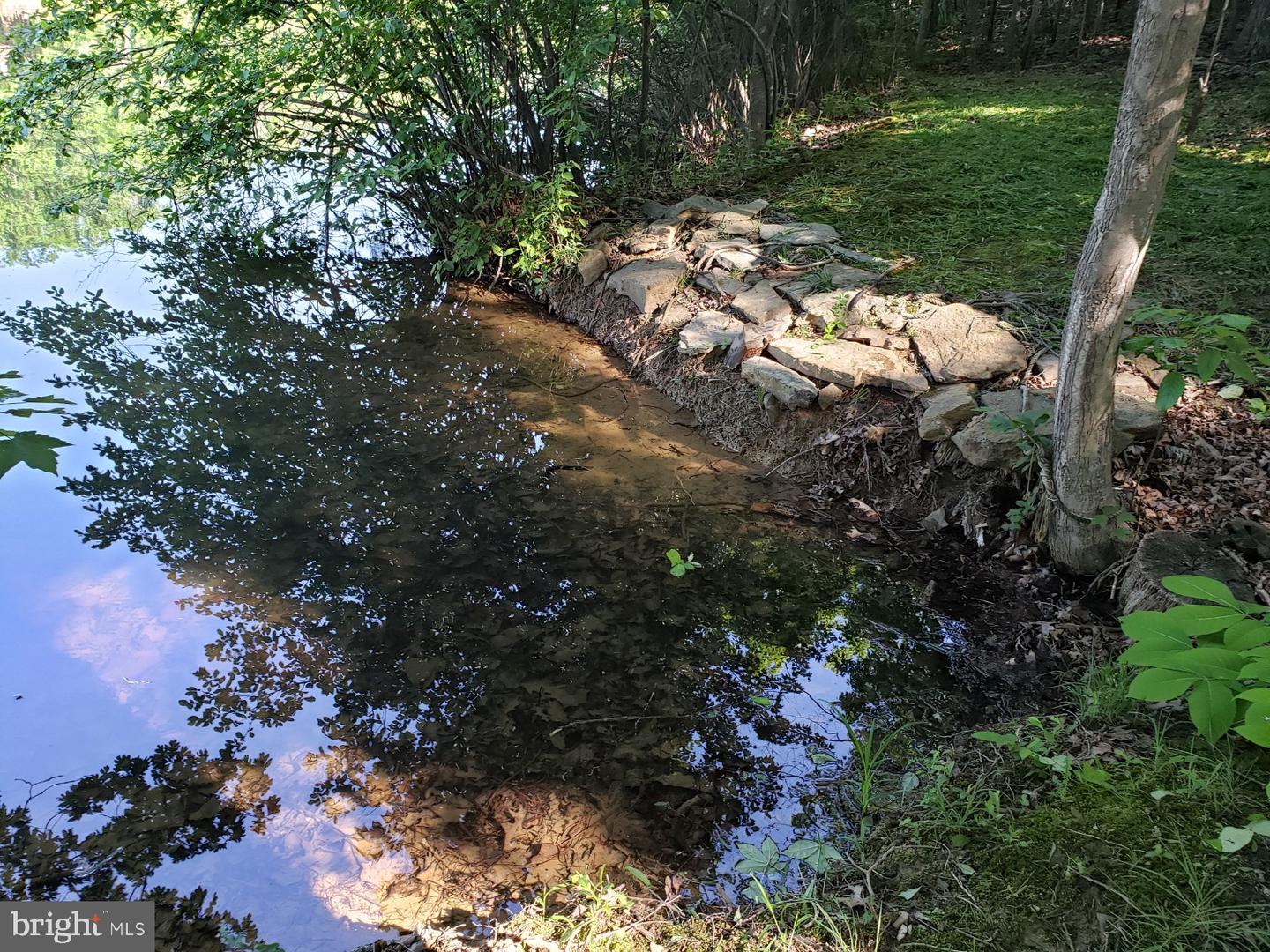 0 LAKEVIEW, CROSS JUNCTION, Virginia 22625, ,Land,For sale,0 LAKEVIEW,VAFV2039938 MLS # VAFV2039938