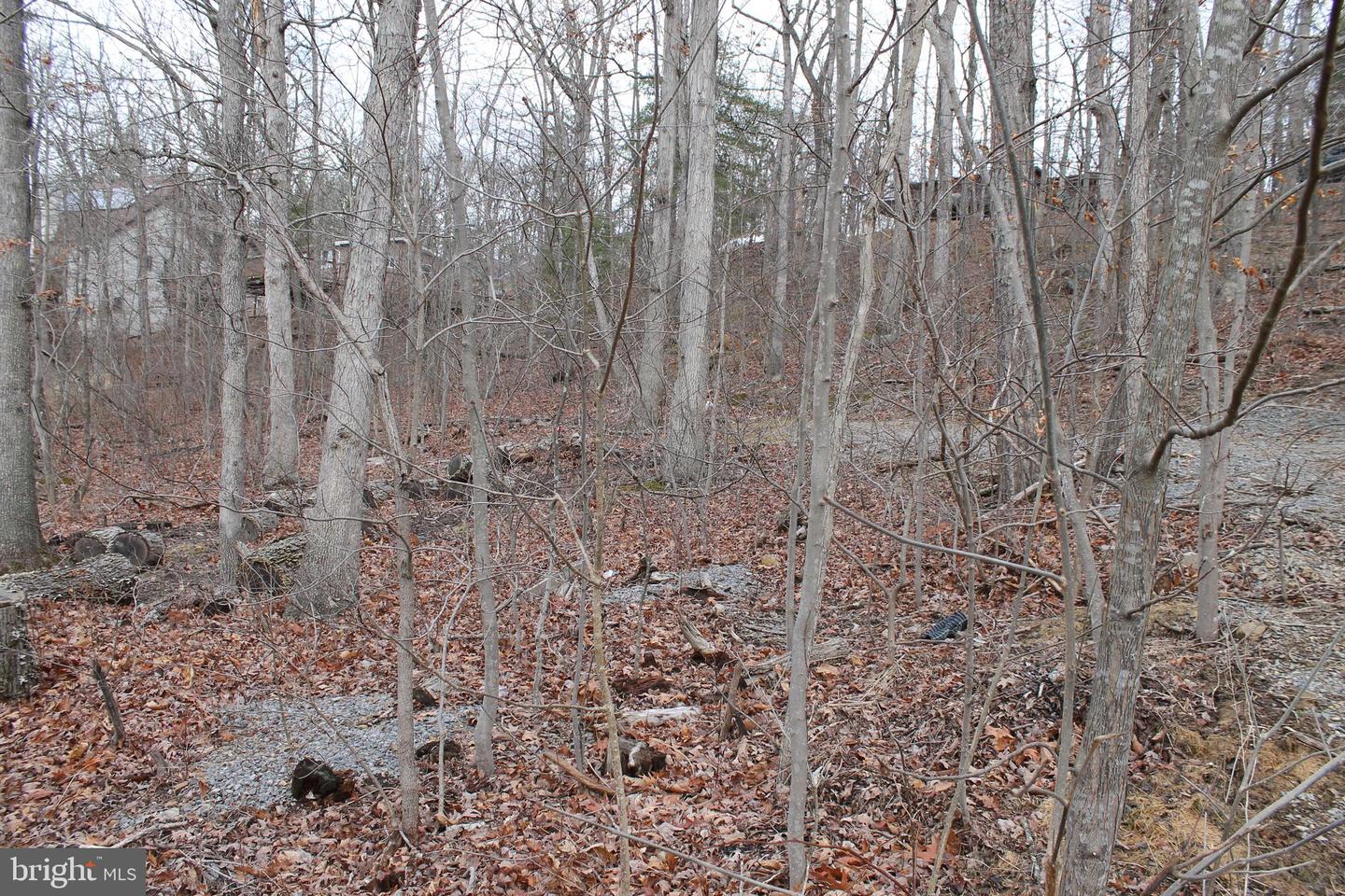 0 LAKEVIEW, CROSS JUNCTION, Virginia 22625, ,Land,For sale,0 LAKEVIEW,VAFV2039938 MLS # VAFV2039938