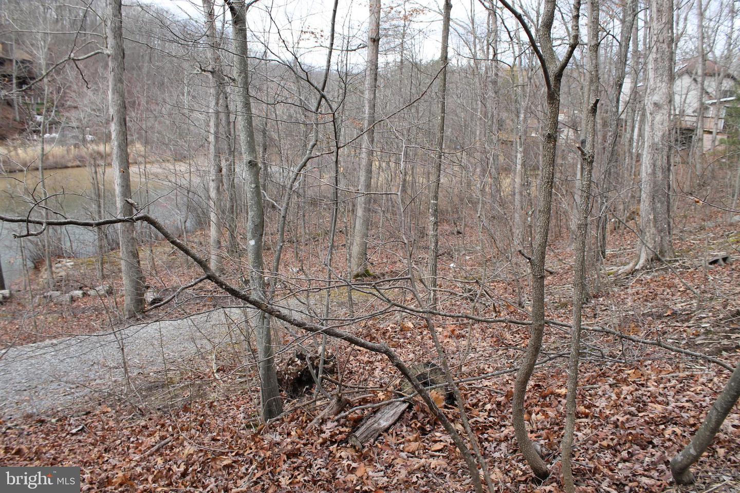 0 LAKEVIEW, CROSS JUNCTION, Virginia 22625, ,Land,For sale,0 LAKEVIEW,VAFV2039938 MLS # VAFV2039938