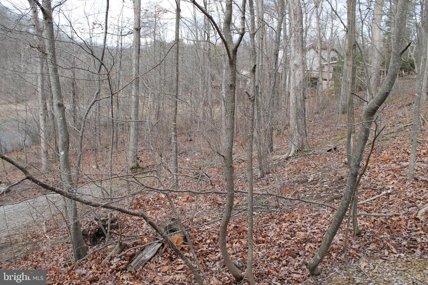 0 LAKEVIEW, CROSS JUNCTION, Virginia 22625, ,Land,For sale,0 LAKEVIEW,VAFV2039938 MLS # VAFV2039938