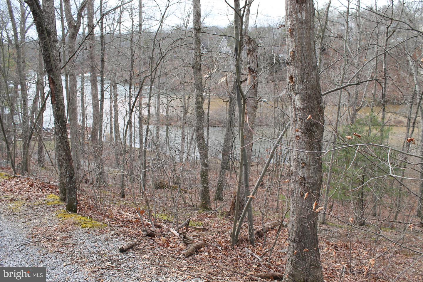 0 LAKEVIEW, CROSS JUNCTION, Virginia 22625, ,Land,For sale,0 LAKEVIEW,VAFV2039938 MLS # VAFV2039938