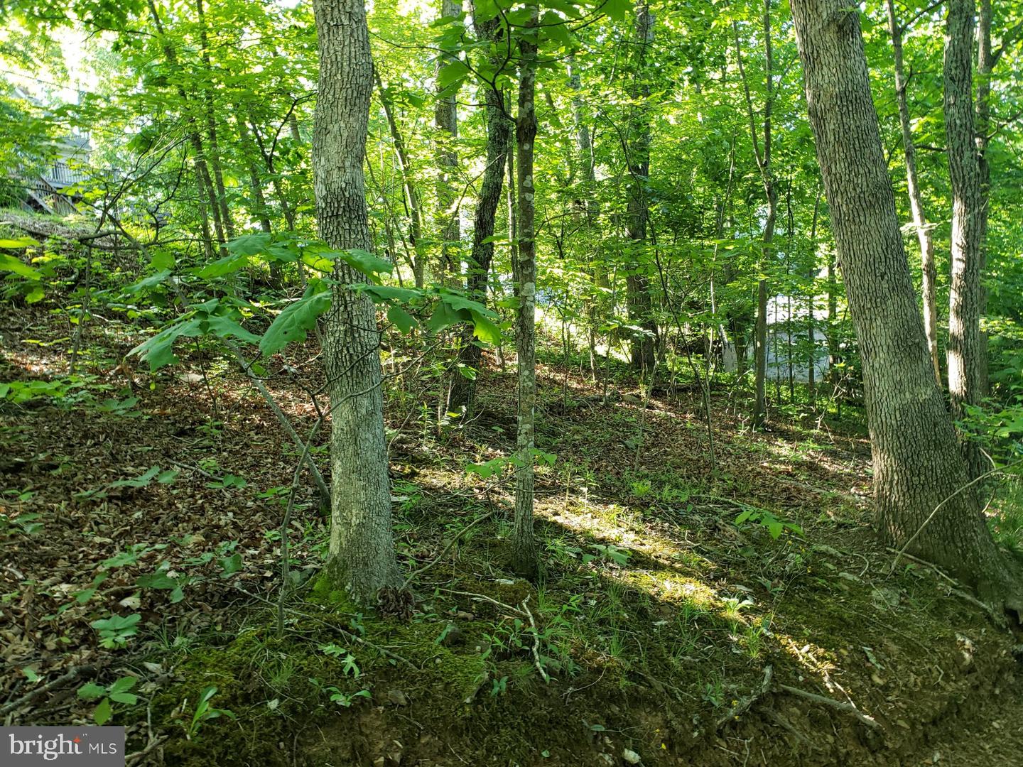 0 LAKEVIEW, CROSS JUNCTION, Virginia 22625, ,Land,For sale,0 LAKEVIEW,VAFV2039938 MLS # VAFV2039938