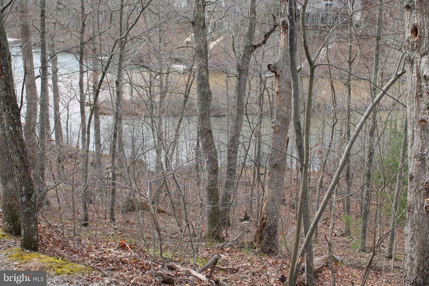 0 LAKEVIEW, CROSS JUNCTION, Virginia 22625, ,Land,For sale,0 LAKEVIEW,VAFV2039938 MLS # VAFV2039938