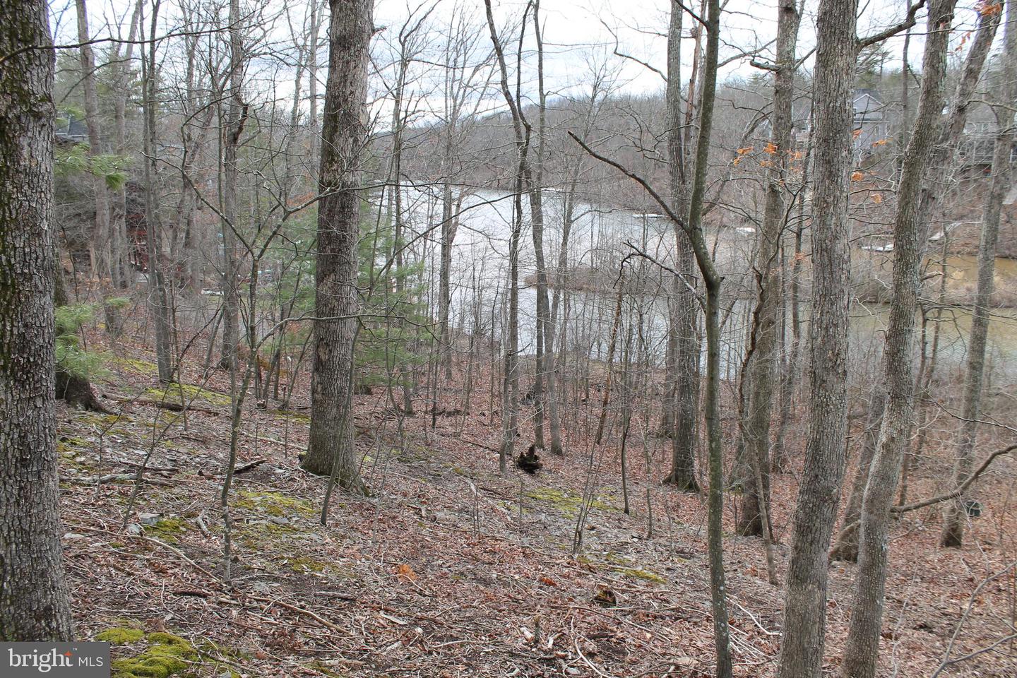 0 LAKEVIEW, CROSS JUNCTION, Virginia 22625, ,Land,For sale,0 LAKEVIEW,VAFV2039938 MLS # VAFV2039938