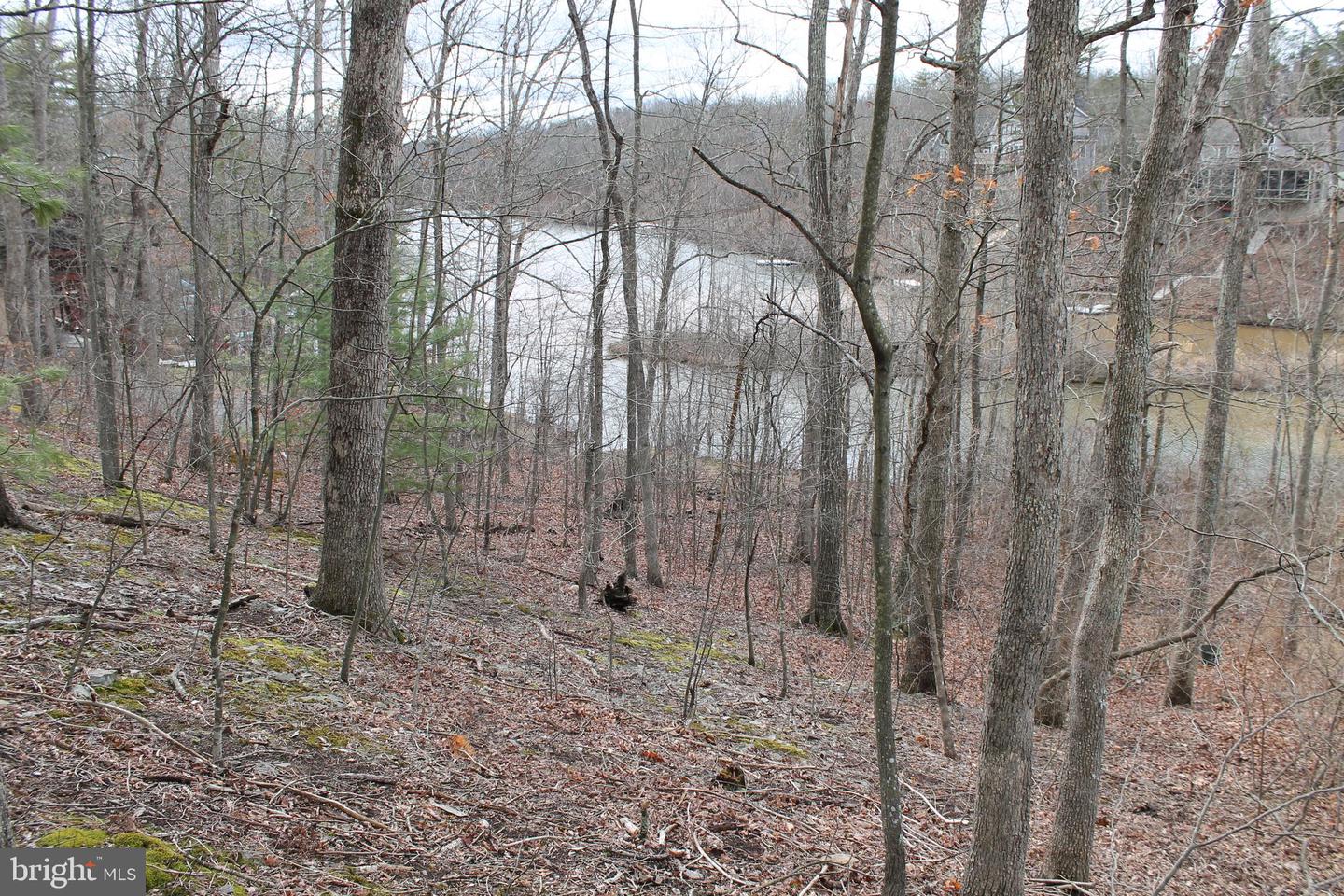 0 LAKEVIEW, CROSS JUNCTION, Virginia 22625, ,Land,For sale,0 LAKEVIEW,VAFV2039938 MLS # VAFV2039938