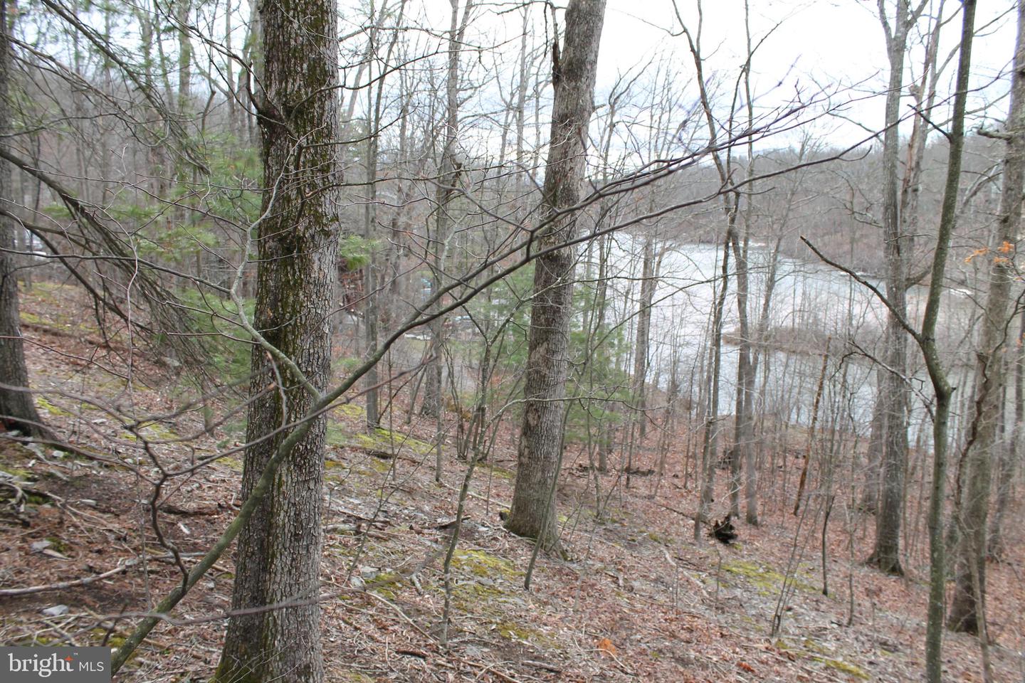 0 LAKEVIEW, CROSS JUNCTION, Virginia 22625, ,Land,For sale,0 LAKEVIEW,VAFV2039938 MLS # VAFV2039938