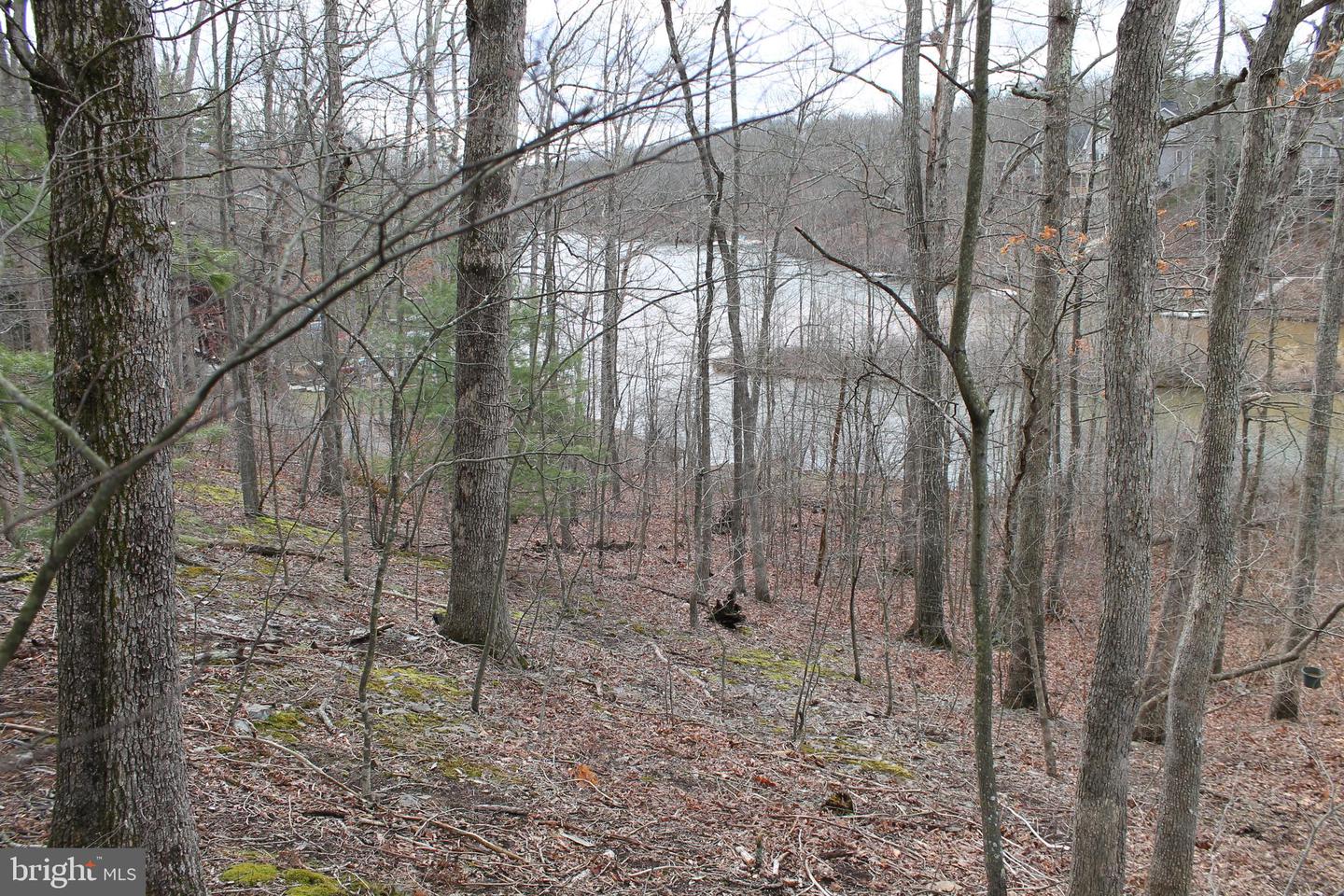 0 LAKEVIEW, CROSS JUNCTION, Virginia 22625, ,Land,For sale,0 LAKEVIEW,VAFV2039938 MLS # VAFV2039938