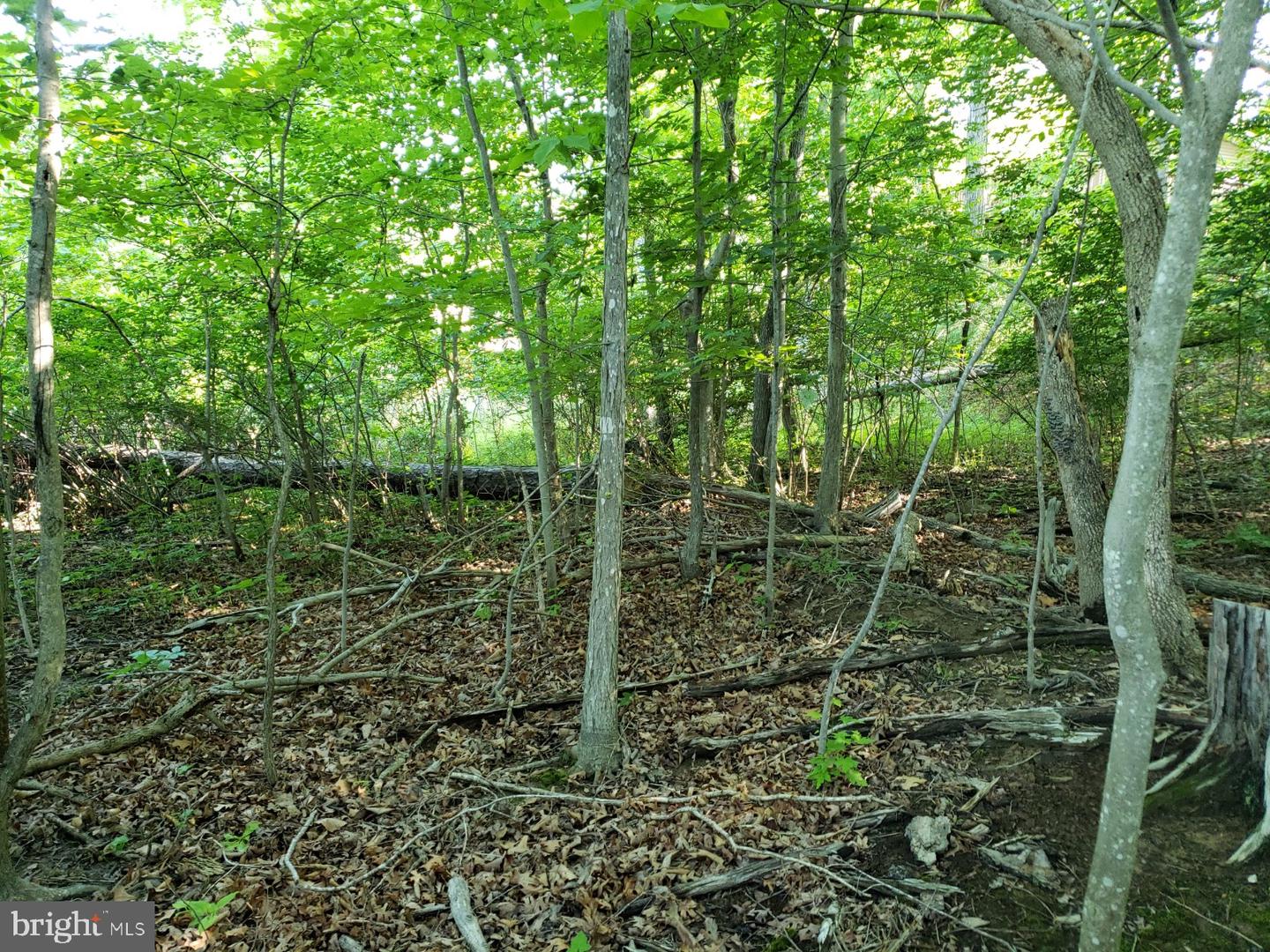 0 LAKEVIEW, CROSS JUNCTION, Virginia 22625, ,Land,For sale,0 LAKEVIEW,VAFV2039938 MLS # VAFV2039938