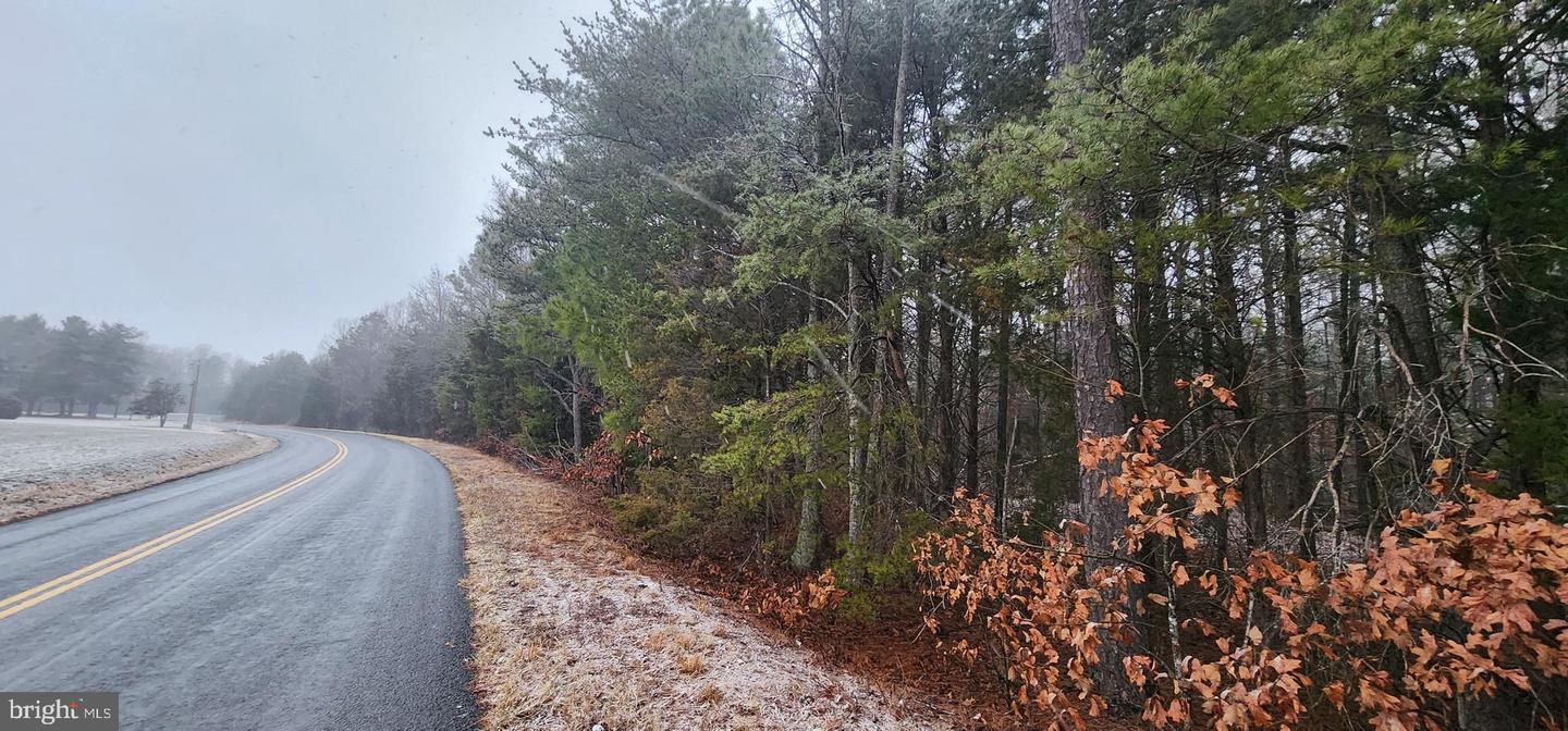 SIGNBOARD RD, RUTHER GLEN, Virginia 22546, ,Land,For sale,SIGNBOARD RD,VACV2009642 MLS # VACV2009642