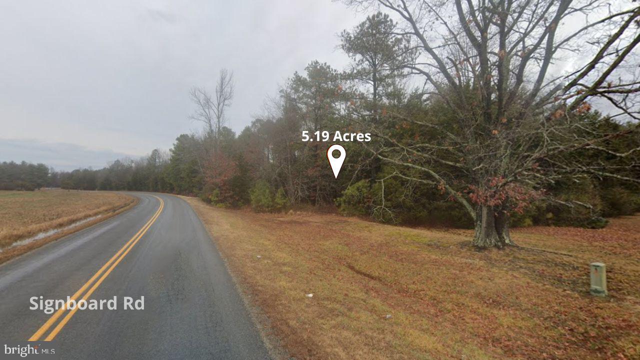 SIGNBOARD RD, RUTHER GLEN, Virginia 22546, ,Land,For sale,SIGNBOARD RD,VACV2009642 MLS # VACV2009642
