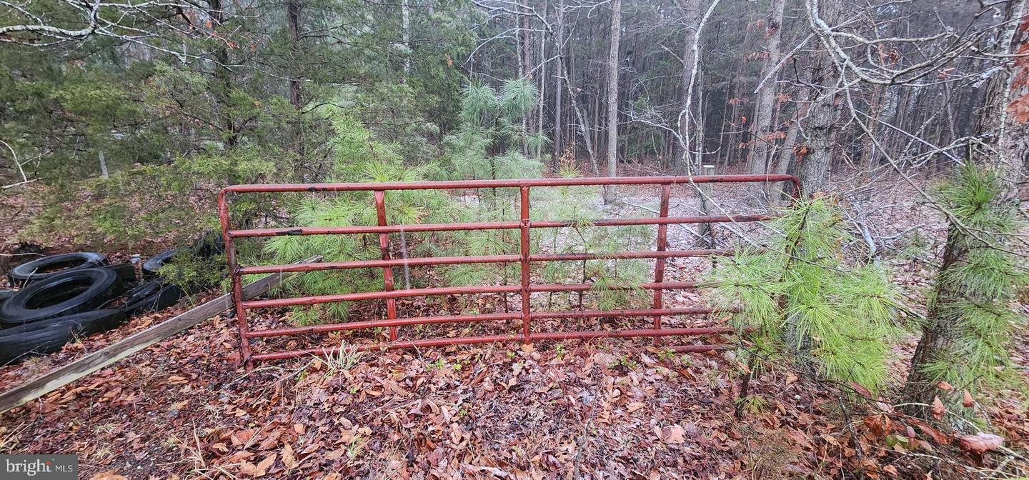 SIGNBOARD RD, RUTHER GLEN, Virginia 22546, ,Land,For sale,SIGNBOARD RD,VACV2009642 MLS # VACV2009642