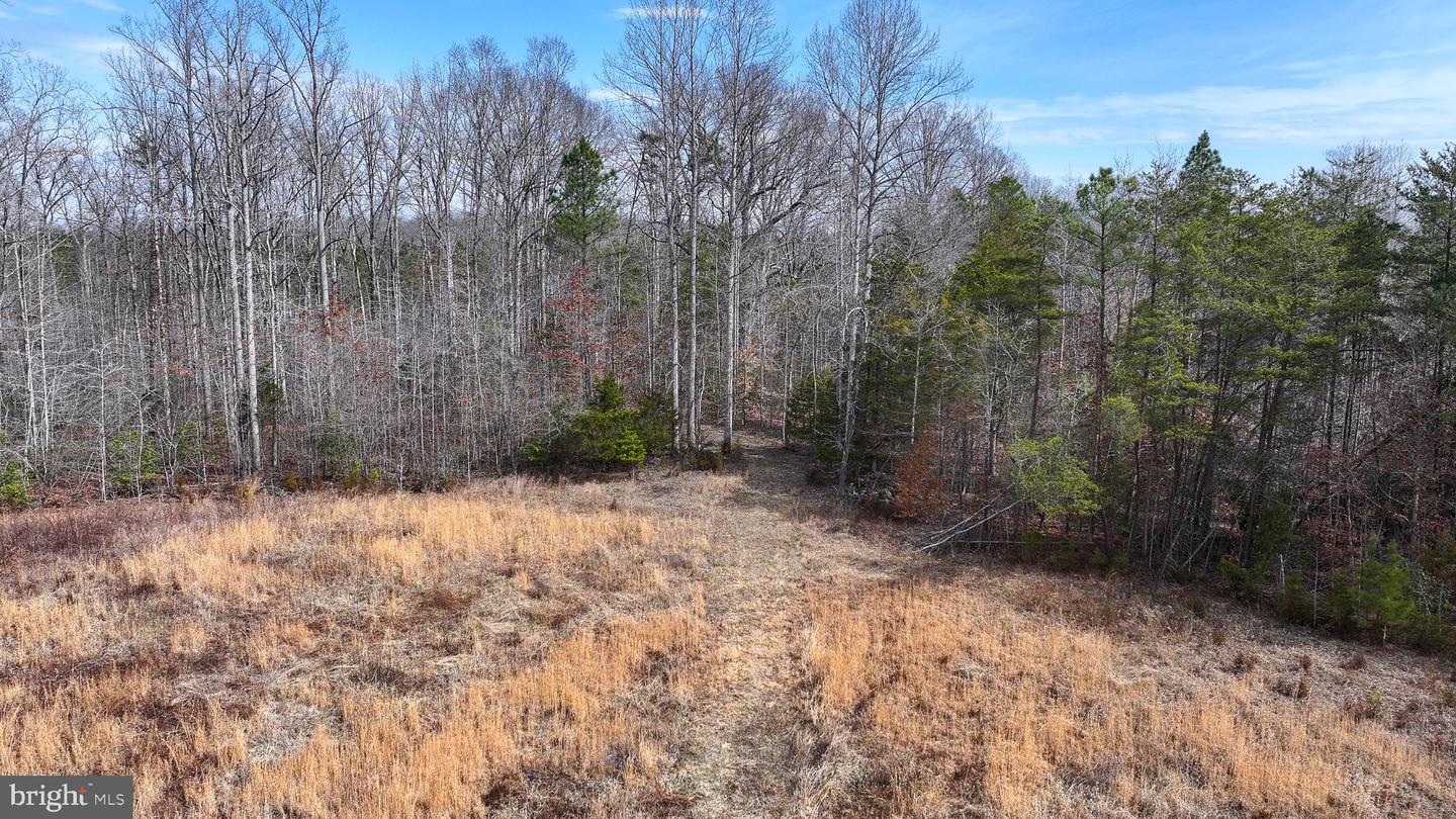 28.13 ACRES CROSS COUNTRY RD, MINERAL, Virginia 23117, ,Land,For sale,28.13 ACRES CROSS COUNTRY RD,VALA2009398 MLS # VALA2009398