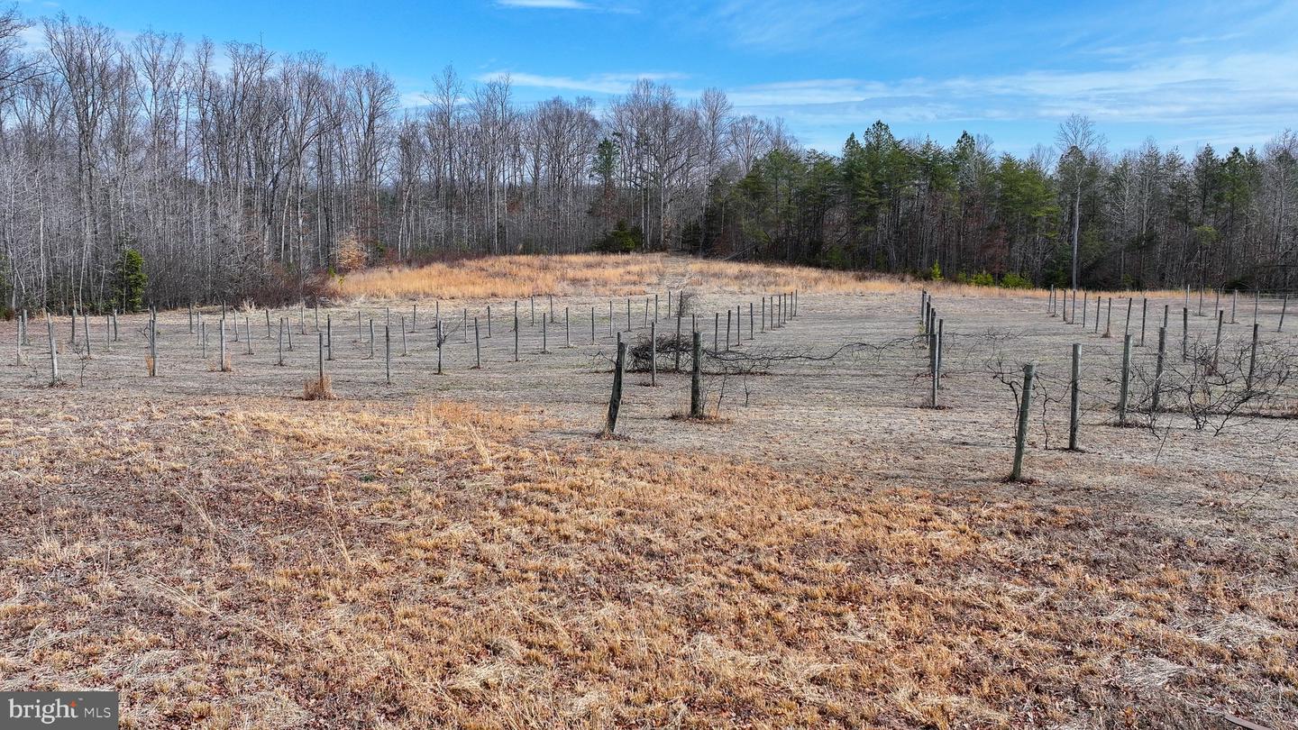 28.13 ACRES CROSS COUNTRY RD, MINERAL, Virginia 23117, ,Land,For sale,28.13 ACRES CROSS COUNTRY RD,VALA2009398 MLS # VALA2009398