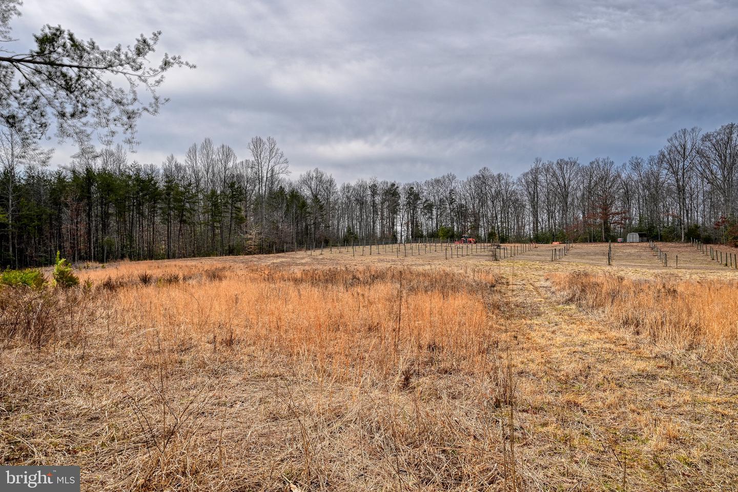 28.13 ACRES CROSS COUNTRY RD, MINERAL, Virginia 23117, ,Land,For sale,28.13 ACRES CROSS COUNTRY RD,VALA2009398 MLS # VALA2009398