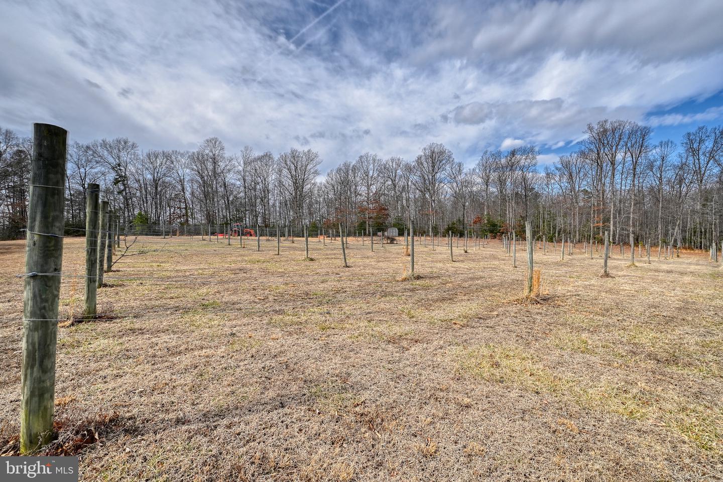 28.13 ACRES CROSS COUNTRY RD, MINERAL, Virginia 23117, ,Land,For sale,28.13 ACRES CROSS COUNTRY RD,VALA2009398 MLS # VALA2009398