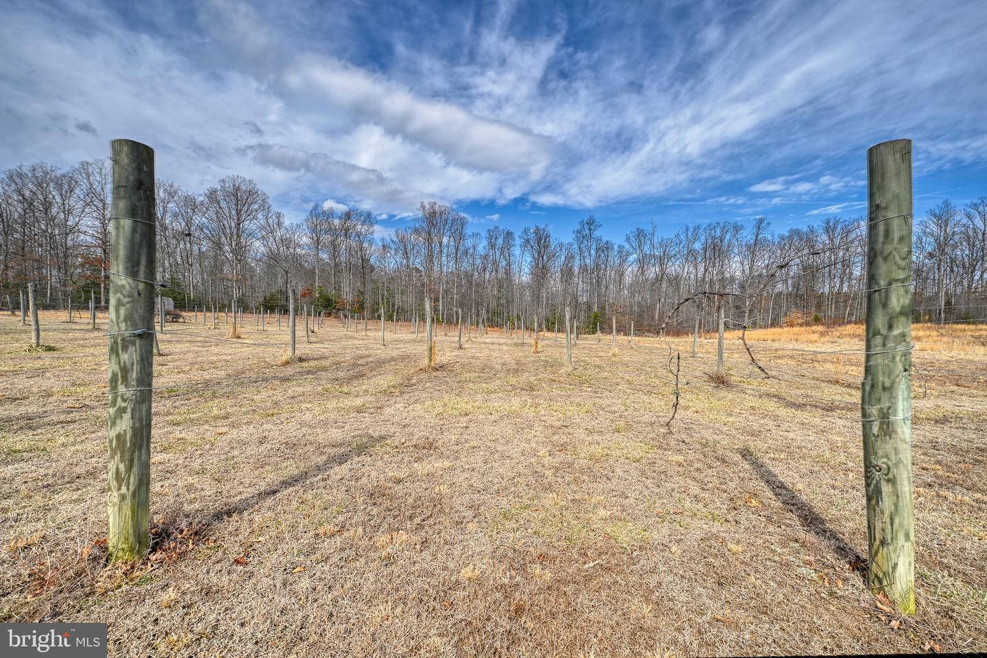 28.13 ACRES CROSS COUNTRY RD, MINERAL, Virginia 23117, ,Land,For sale,28.13 ACRES CROSS COUNTRY RD,VALA2009398 MLS # VALA2009398