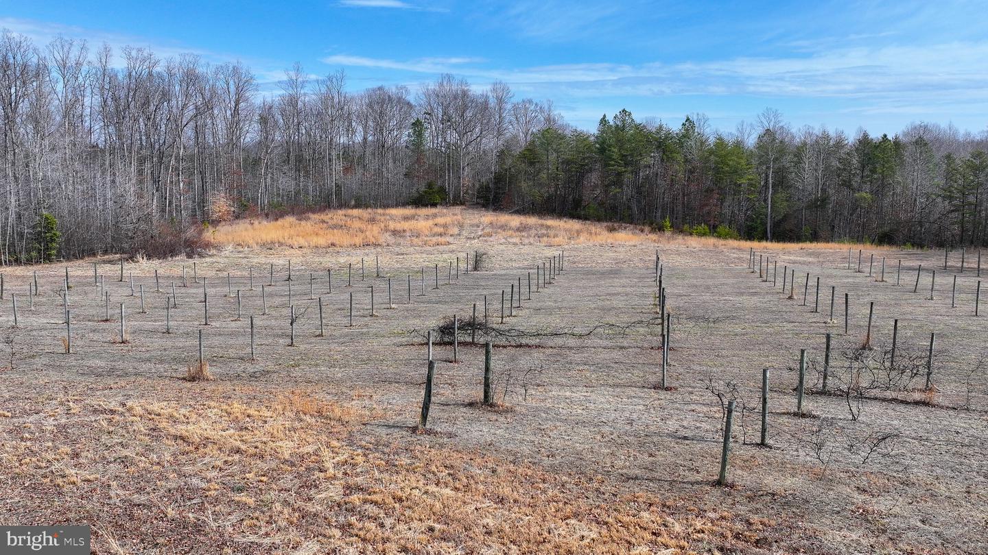 28.13 ACRES CROSS COUNTRY RD, MINERAL, Virginia 23117, ,Land,For sale,28.13 ACRES CROSS COUNTRY RD,VALA2009398 MLS # VALA2009398