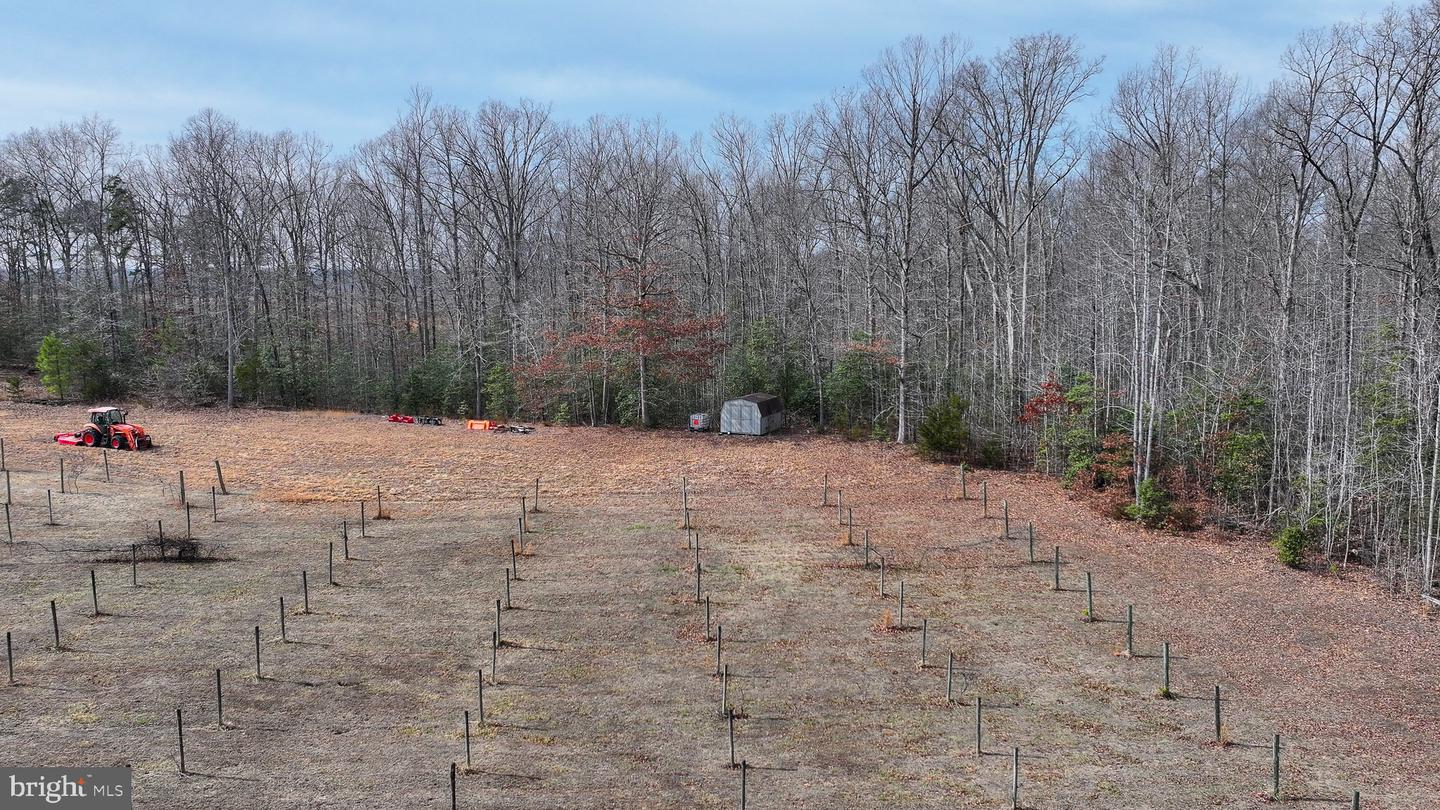 28.13 ACRES CROSS COUNTRY RD, MINERAL, Virginia 23117, ,Land,For sale,28.13 ACRES CROSS COUNTRY RD,VALA2009398 MLS # VALA2009398