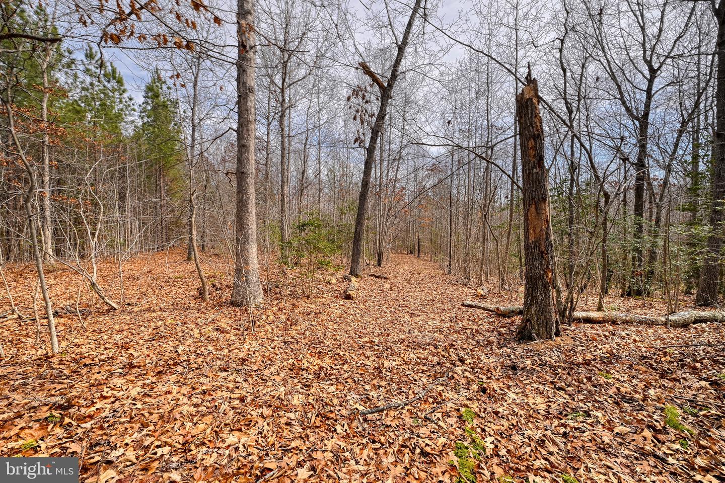 28.13 ACRES CROSS COUNTRY RD, MINERAL, Virginia 23117, ,Land,For sale,28.13 ACRES CROSS COUNTRY RD,VALA2009398 MLS # VALA2009398