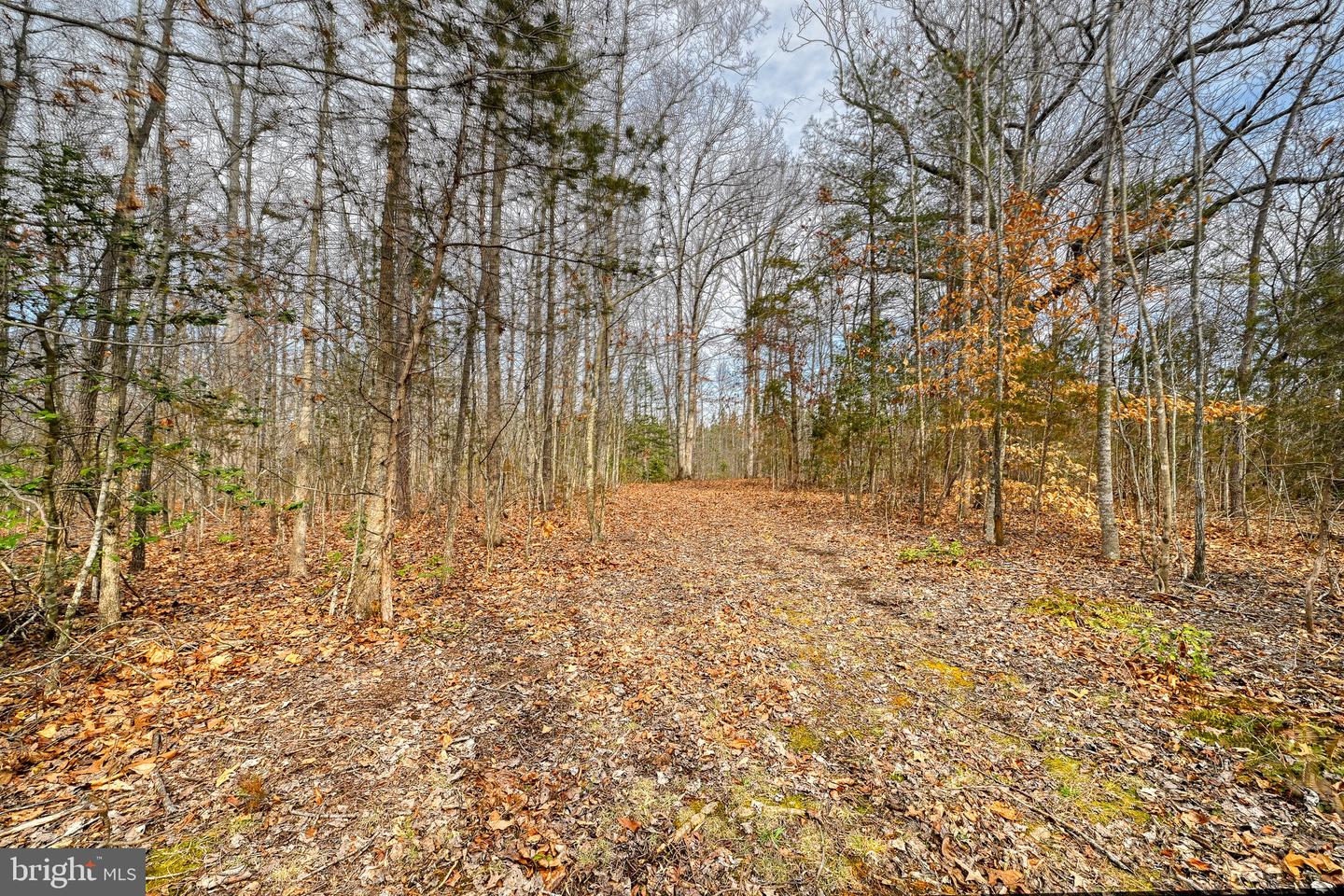 28.13 ACRES CROSS COUNTRY RD, MINERAL, Virginia 23117, ,Land,For sale,28.13 ACRES CROSS COUNTRY RD,VALA2009398 MLS # VALA2009398