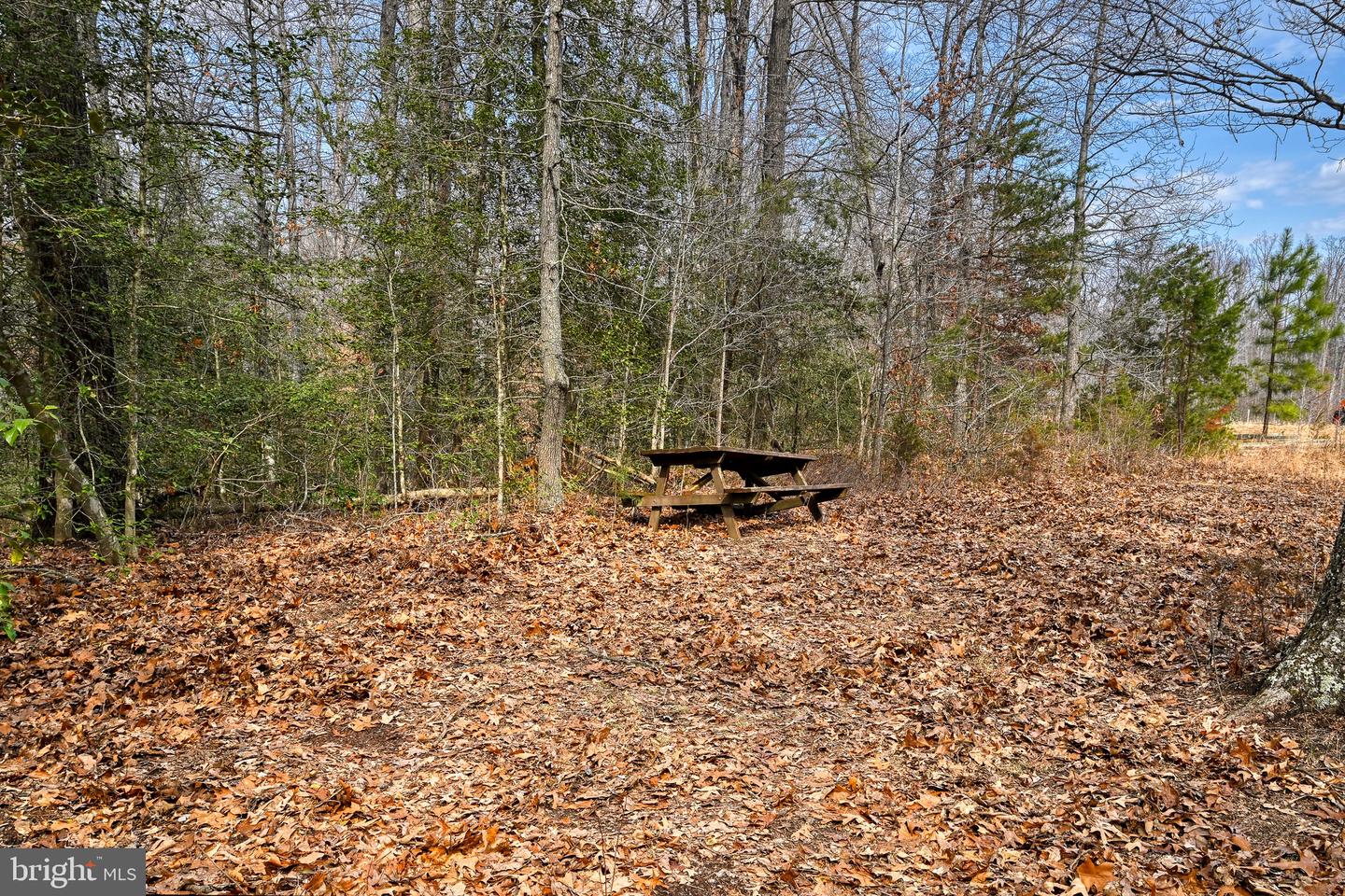 28.13 ACRES CROSS COUNTRY RD, MINERAL, Virginia 23117, ,Land,For sale,28.13 ACRES CROSS COUNTRY RD,VALA2009398 MLS # VALA2009398