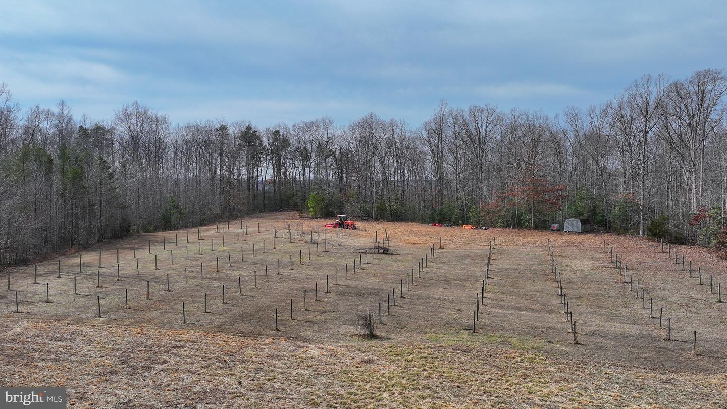 28.13 ACRES CROSS COUNTRY RD, MINERAL, Virginia 23117, ,Land,For sale,28.13 ACRES CROSS COUNTRY RD,VALA2009398 MLS # VALA2009398