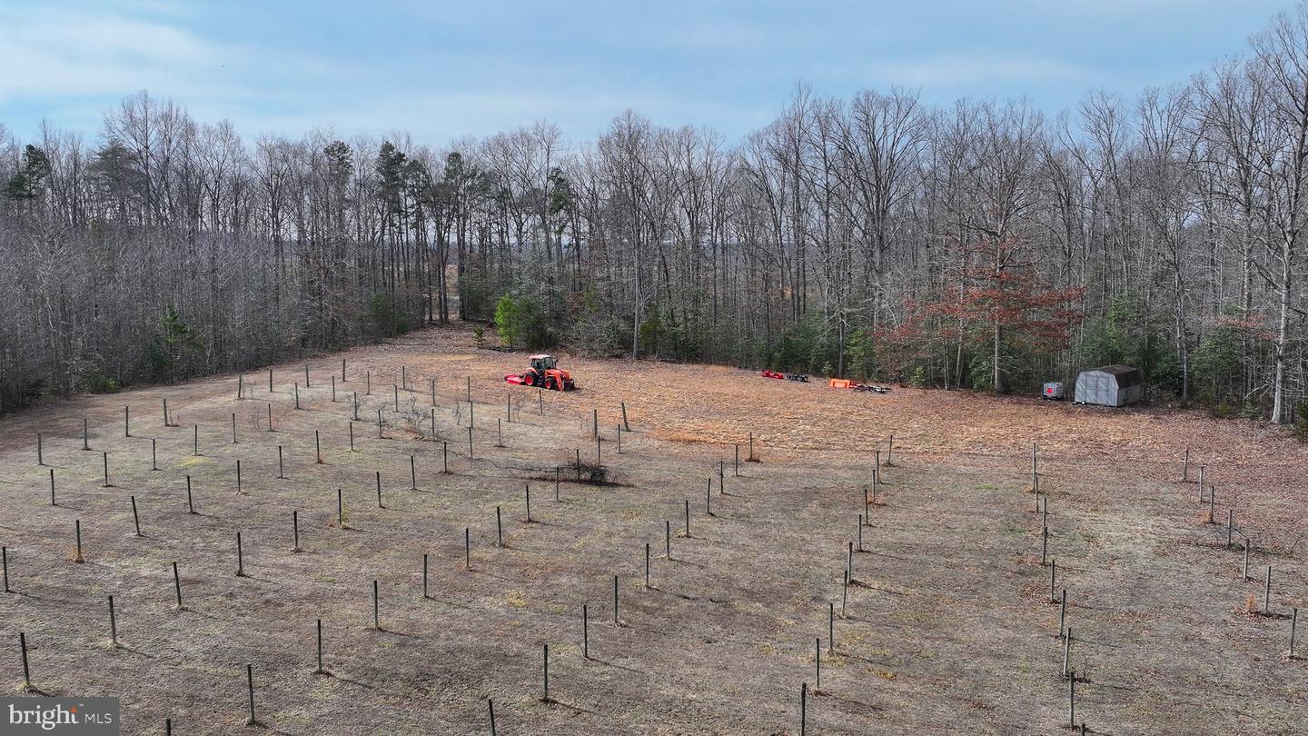 28.13 ACRES CROSS COUNTRY RD, MINERAL, Virginia 23117, ,Land,For sale,28.13 ACRES CROSS COUNTRY RD,VALA2009398 MLS # VALA2009398