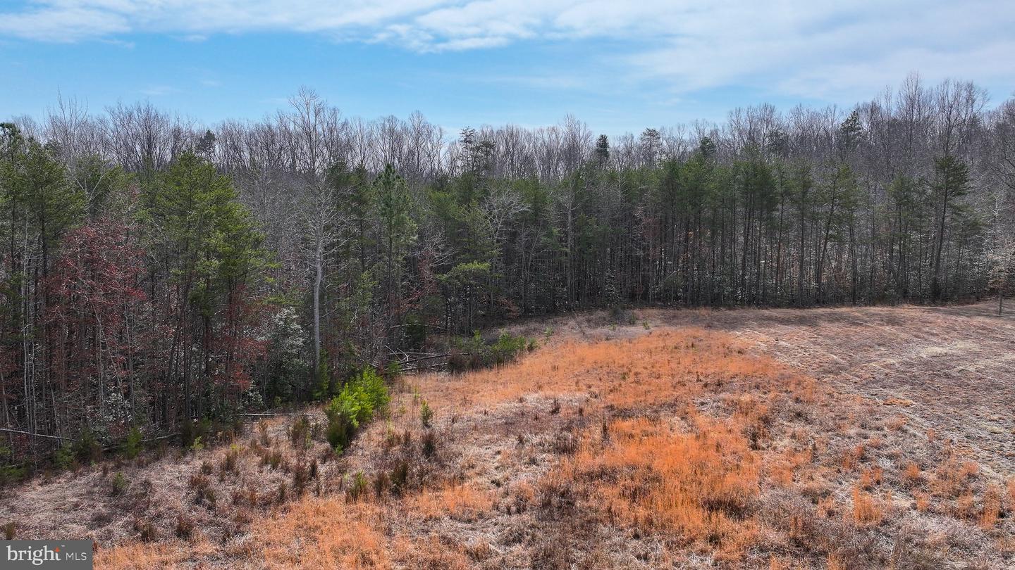 28.13 ACRES CROSS COUNTRY RD, MINERAL, Virginia 23117, ,Land,For sale,28.13 ACRES CROSS COUNTRY RD,VALA2009398 MLS # VALA2009398