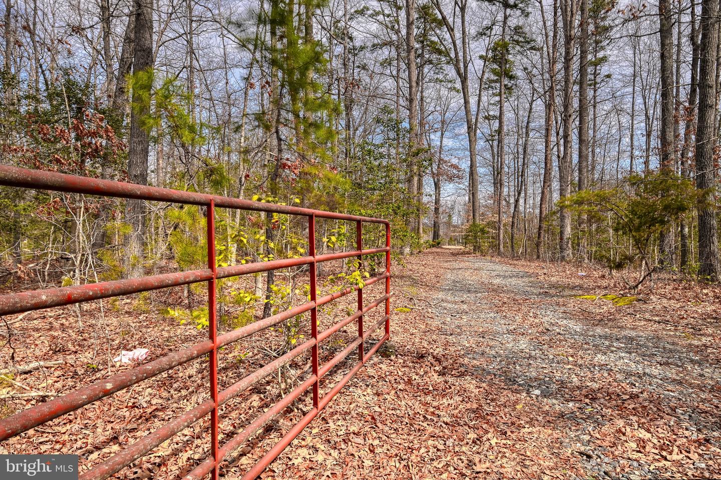 28.13 ACRES CROSS COUNTRY RD, MINERAL, Virginia 23117, ,Land,For sale,28.13 ACRES CROSS COUNTRY RD,VALA2009398 MLS # VALA2009398