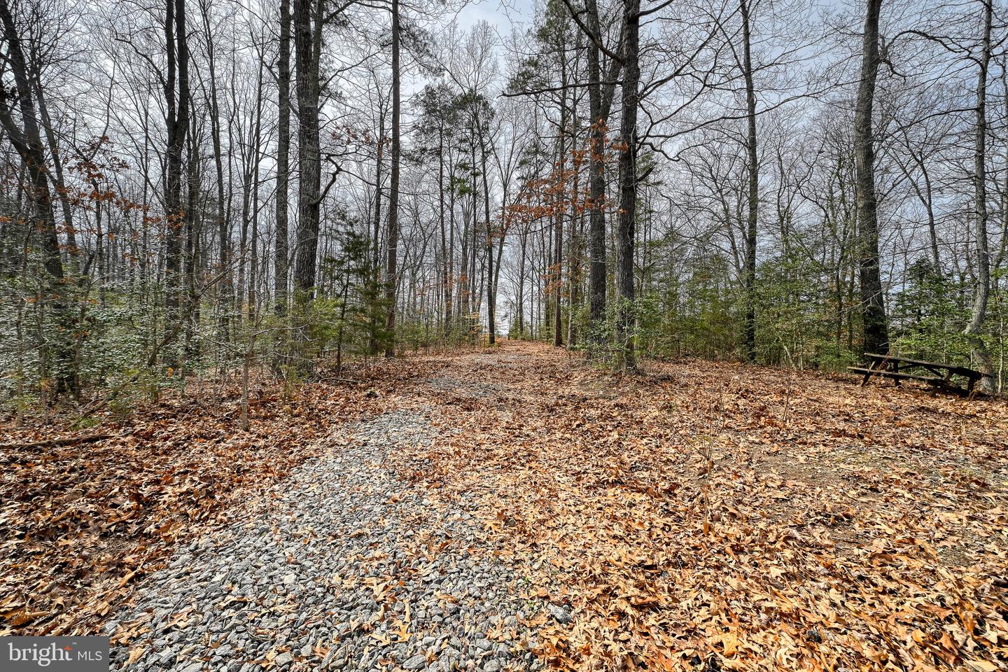 28.13 ACRES CROSS COUNTRY RD, MINERAL, Virginia 23117, ,Land,For sale,28.13 ACRES CROSS COUNTRY RD,VALA2009398 MLS # VALA2009398