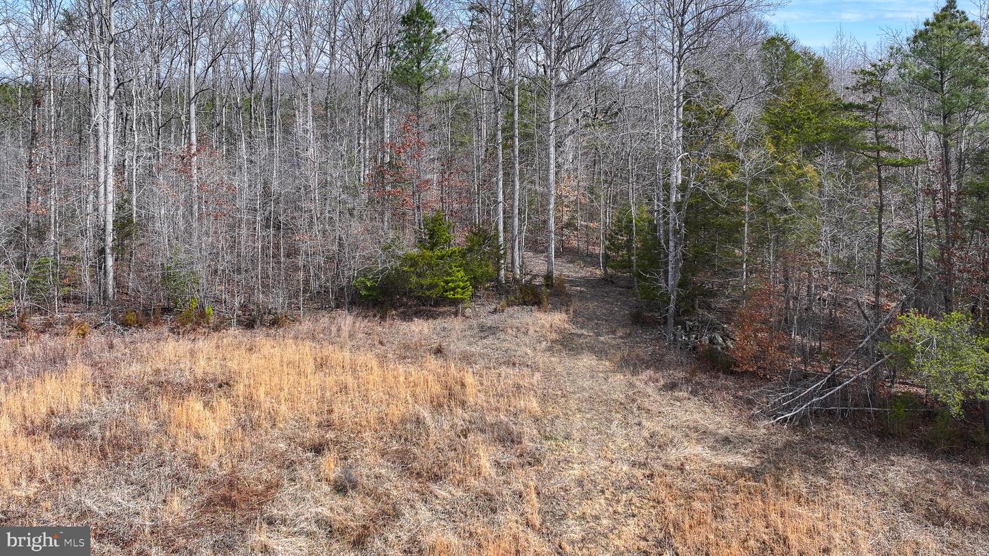 28.13 ACRES CROSS COUNTRY RD, MINERAL, Virginia 23117, ,Land,For sale,28.13 ACRES CROSS COUNTRY RD,VALA2009398 MLS # VALA2009398