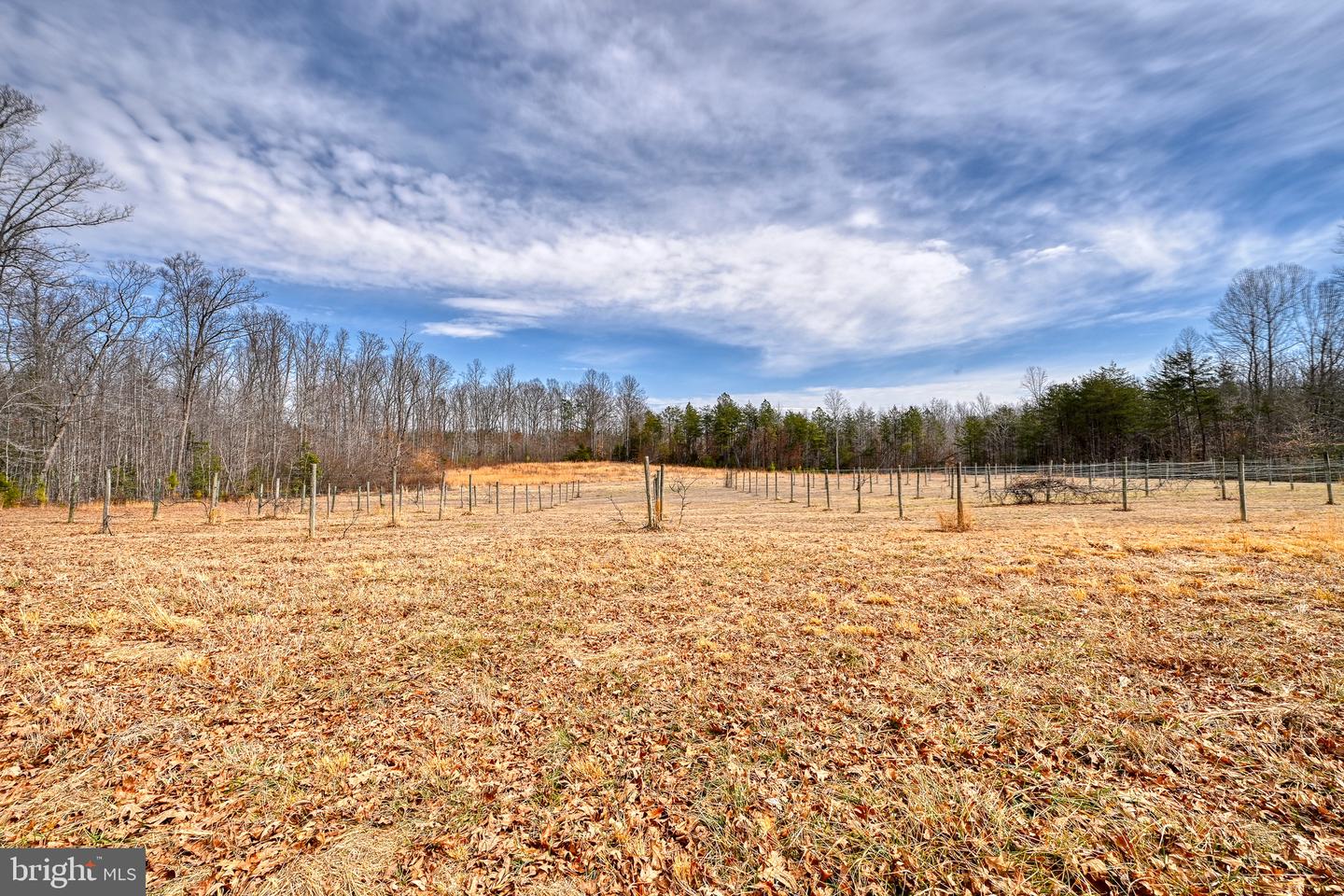 28.13 ACRES CROSS COUNTRY RD, MINERAL, Virginia 23117, ,Land,For sale,28.13 ACRES CROSS COUNTRY RD,VALA2009398 MLS # VALA2009398