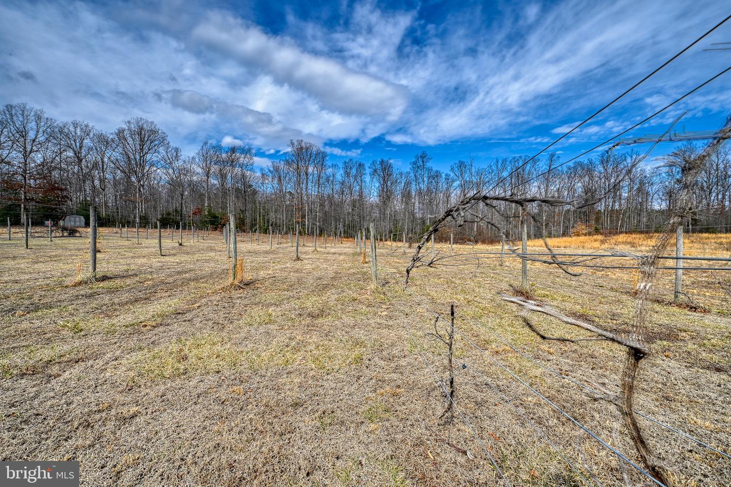 28.13 ACRES CROSS COUNTRY RD, MINERAL, Virginia 23117, ,Land,For sale,28.13 ACRES CROSS COUNTRY RD,VALA2009398 MLS # VALA2009398