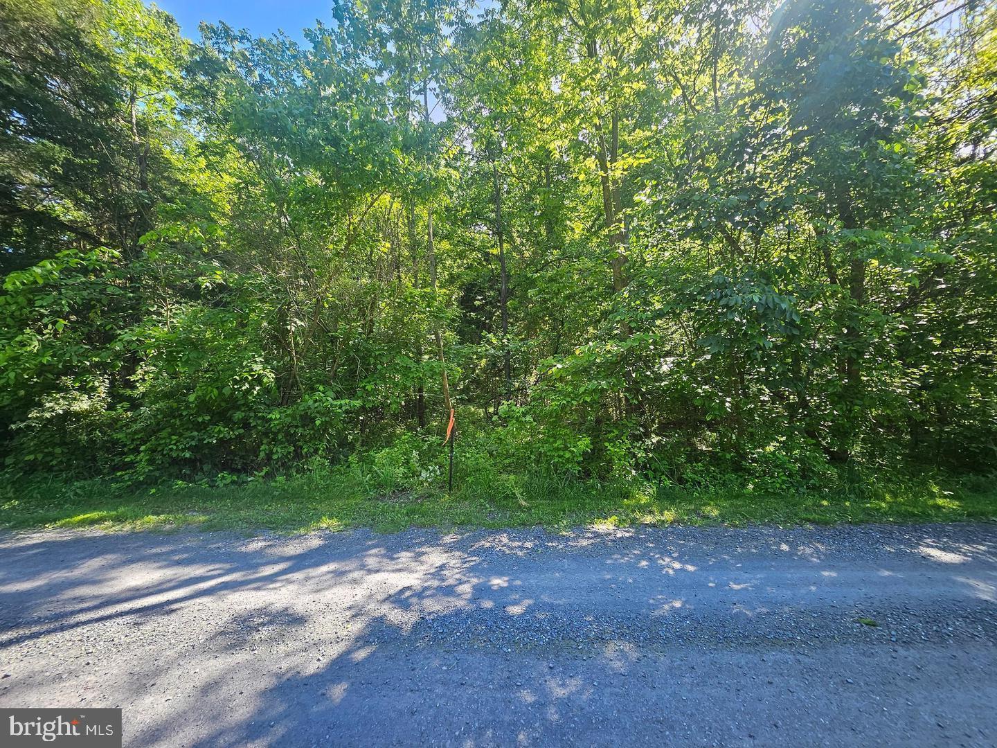VALLEY VIEW DR, STRASBURG, Virginia 22657, ,Land,For sale,VALLEY VIEW DR,VASH2013734 MLS # VASH2013734