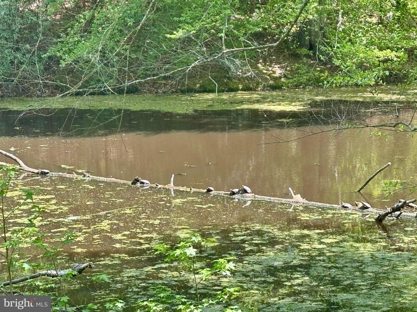 121 MARLBOROUGH POINT RD, STAFFORD, Virginia 22554, 3 Bedrooms Bedrooms, 17 Rooms Rooms,3 BathroomsBathrooms,Residential,For sale,121 MARLBOROUGH POINT RD,VAST2046604 MLS # VAST2046604