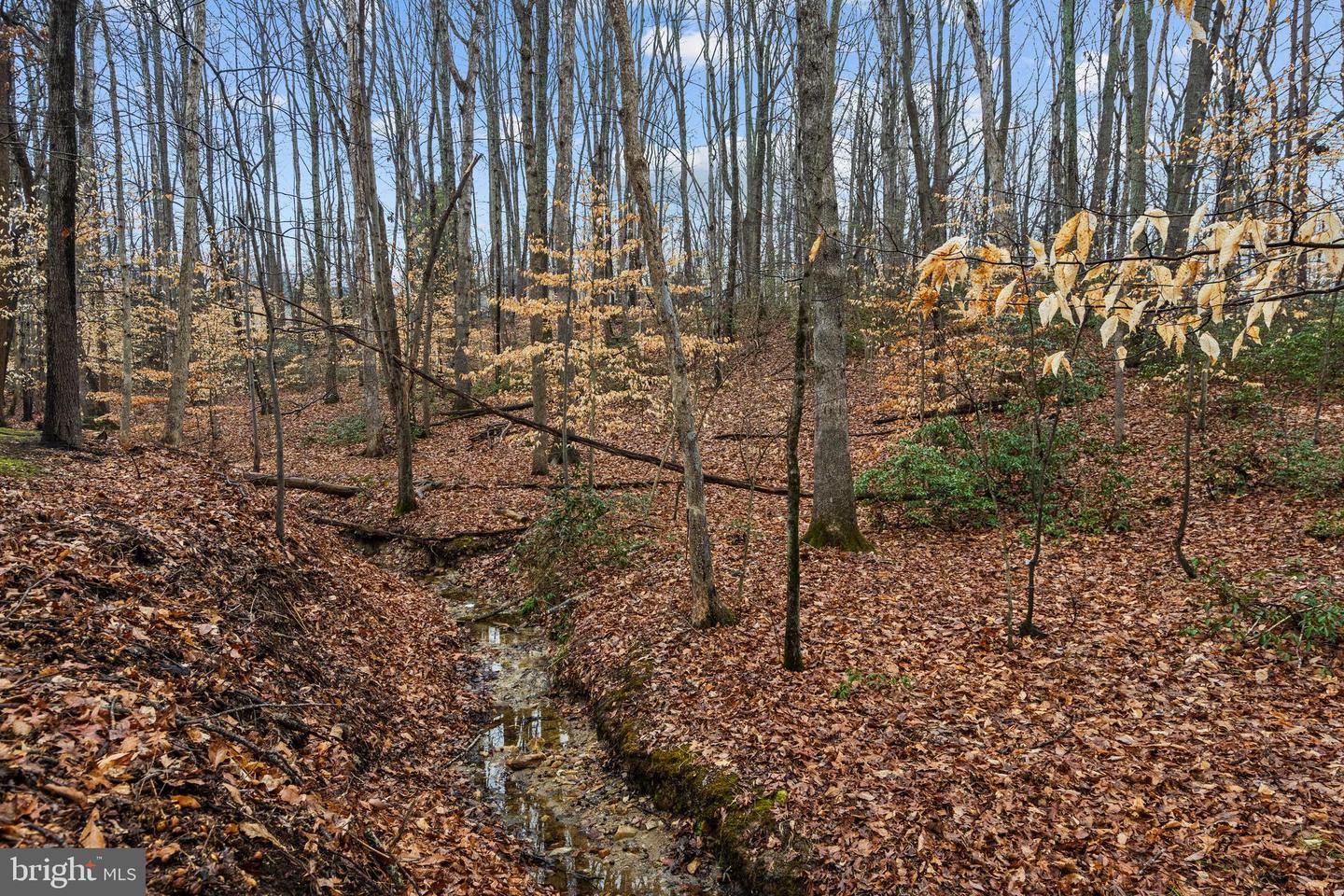 4464 BRITON CT, WOODBRIDGE, Virginia 22192, 5 Bedrooms Bedrooms, ,3 BathroomsBathrooms,Residential,For sale,4464 BRITON CT,VAPW2110326 MLS # VAPW2110326