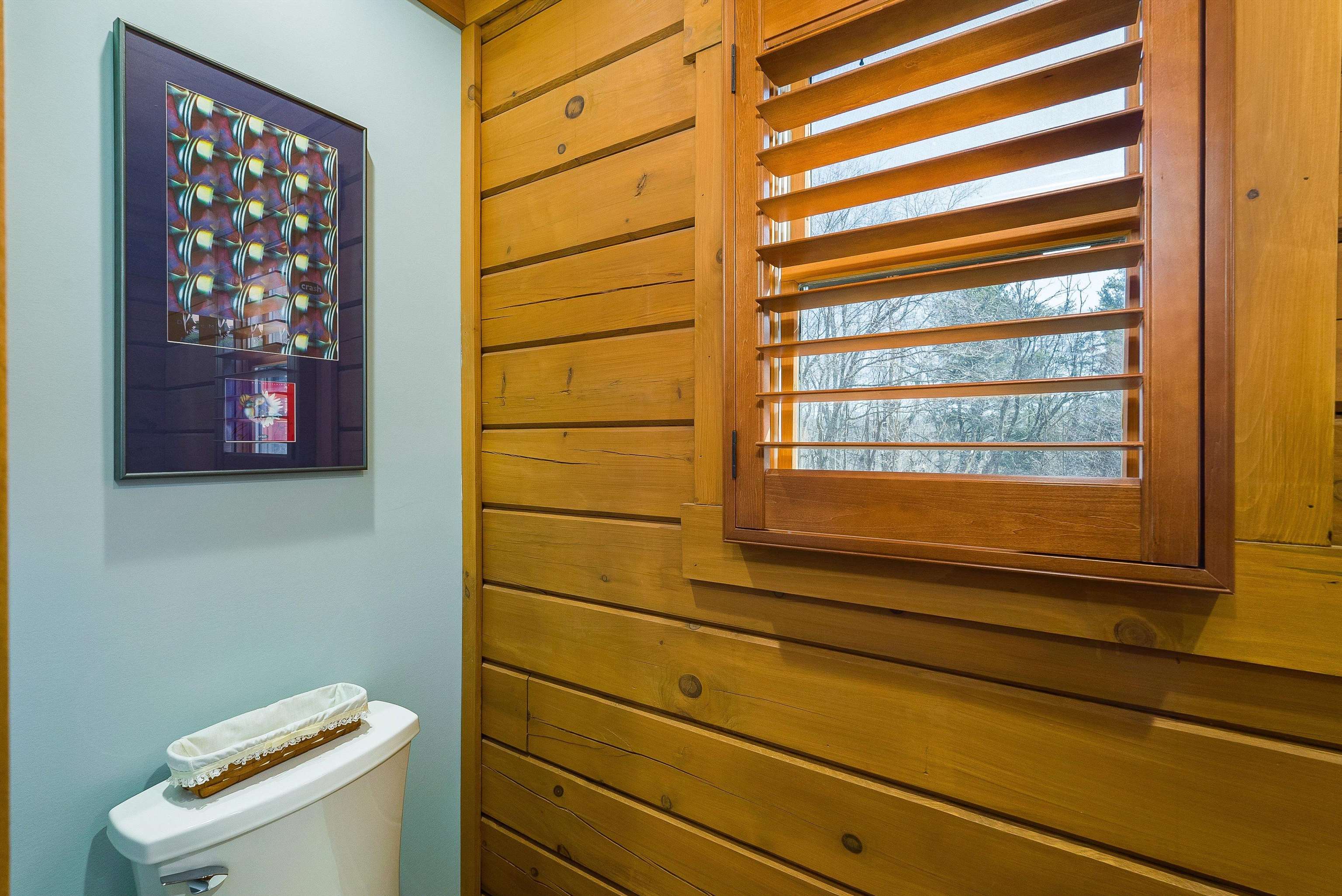 16252 CRABTREE FALLS HWY, VESUVIUS, Virginia 24483, 2 Bedrooms Bedrooms, ,1 BathroomBathrooms,Residential,16252 CRABTREE FALLS HWY,673949 MLS # 673949