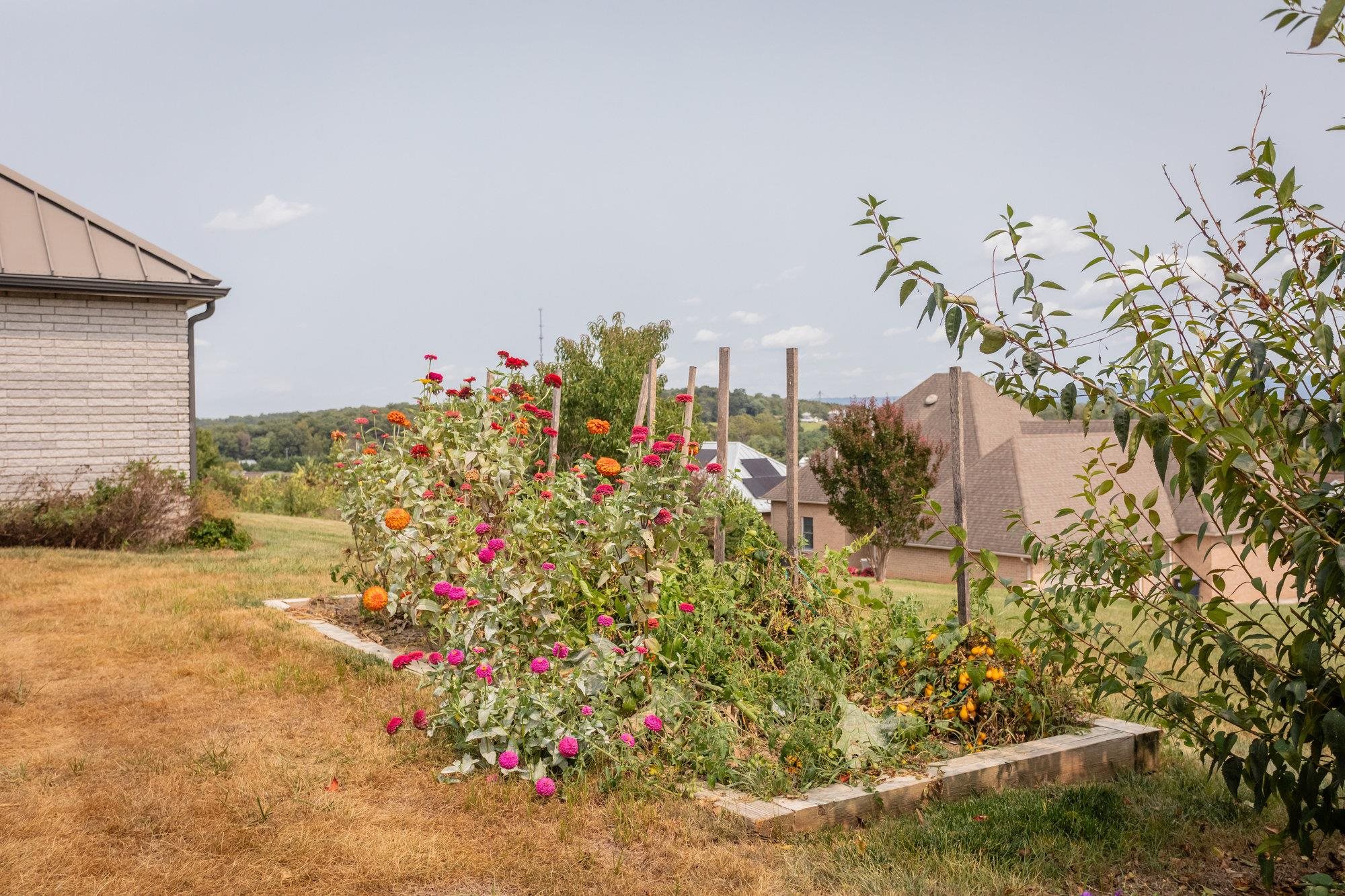 1848 COLLEGE AVE, HARRISONBURG, Virginia 22802, 3 Bedrooms Bedrooms, ,3 BathroomsBathrooms,Residential,1848 COLLEGE AVE,673954 MLS # 673954