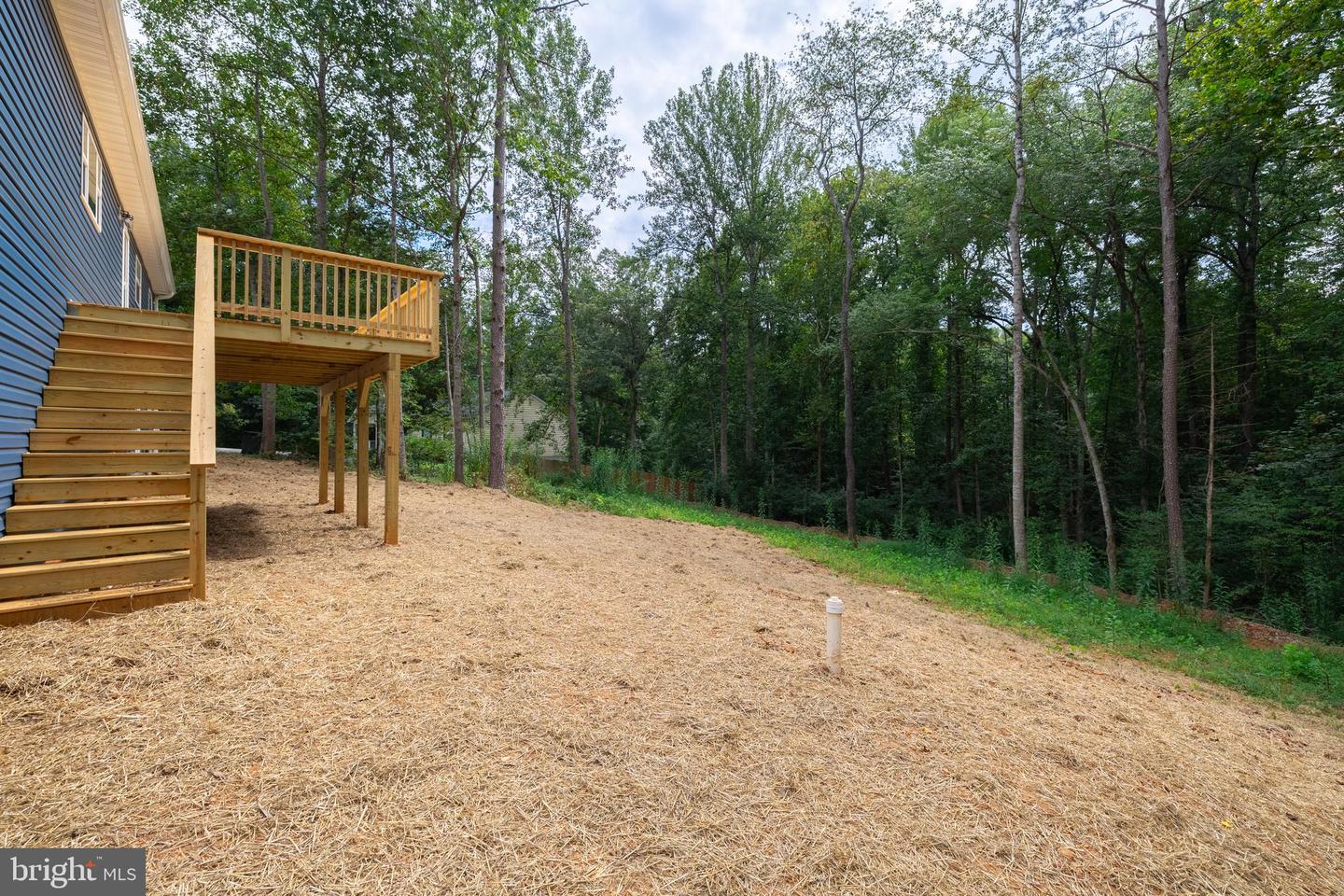 307 LARKSPUR, RUCKERSVILLE, Virginia 22968, 4 Bedrooms Bedrooms, ,2 BathroomsBathrooms,Residential,For sale,307 LARKSPUR,VAGR2000794 MLS # VAGR2000794