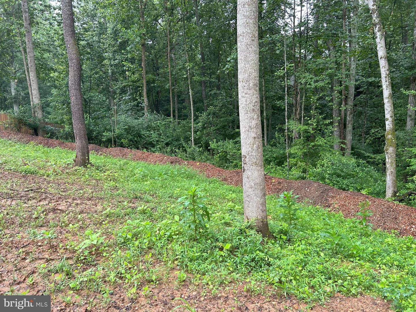 307 LARKSPUR, RUCKERSVILLE, Virginia 22968, 4 Bedrooms Bedrooms, ,2 BathroomsBathrooms,Residential,For sale,307 LARKSPUR,VAGR2000794 MLS # VAGR2000794