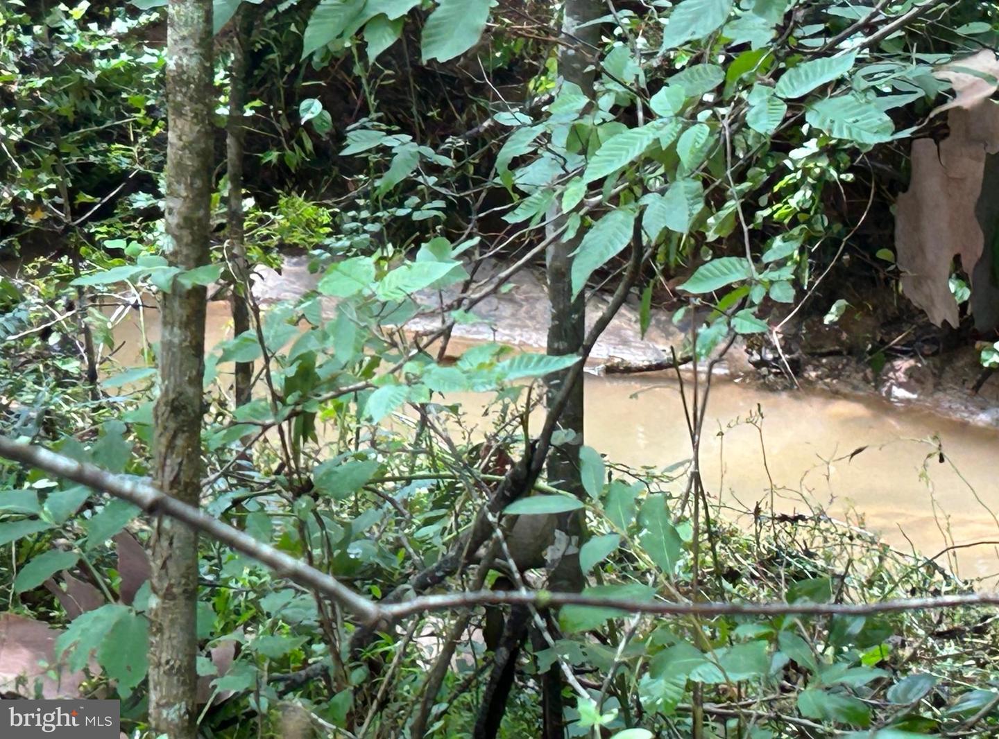 307 LARKSPUR, RUCKERSVILLE, Virginia 22968, 4 Bedrooms Bedrooms, ,2 BathroomsBathrooms,Residential,For sale,307 LARKSPUR,VAGR2000794 MLS # VAGR2000794