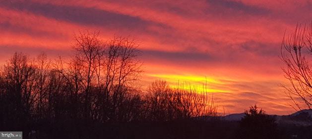 307 LARKSPUR, RUCKERSVILLE, Virginia 22968, 4 Bedrooms Bedrooms, ,2 BathroomsBathrooms,Residential,For sale,307 LARKSPUR,VAGR2000794 MLS # VAGR2000794