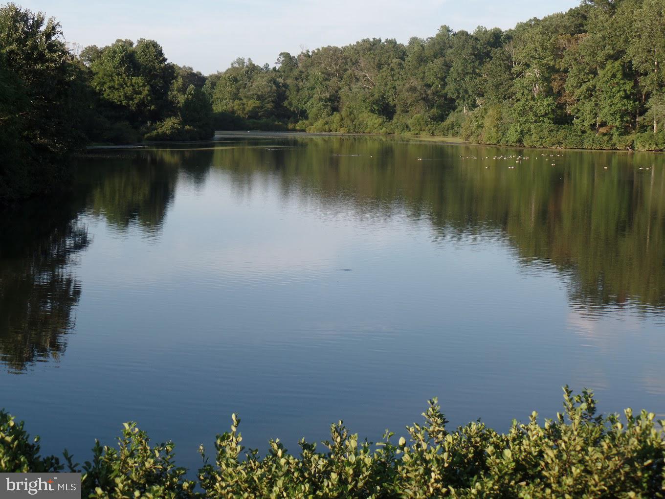 307 LARKSPUR, RUCKERSVILLE, Virginia 22968, 4 Bedrooms Bedrooms, ,2 BathroomsBathrooms,Residential,For sale,307 LARKSPUR,VAGR2000794 MLS # VAGR2000794