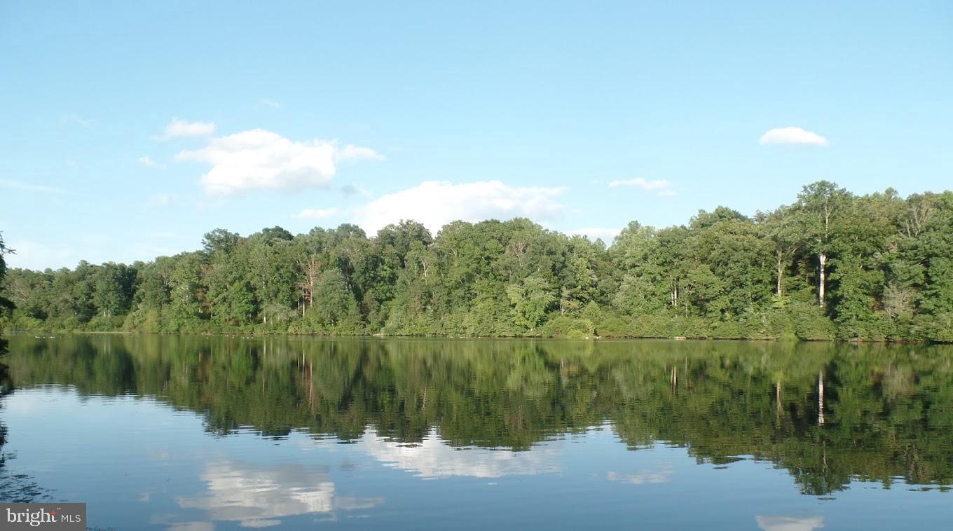 307 LARKSPUR, RUCKERSVILLE, Virginia 22968, 4 Bedrooms Bedrooms, ,2 BathroomsBathrooms,Residential,For sale,307 LARKSPUR,VAGR2000794 MLS # VAGR2000794