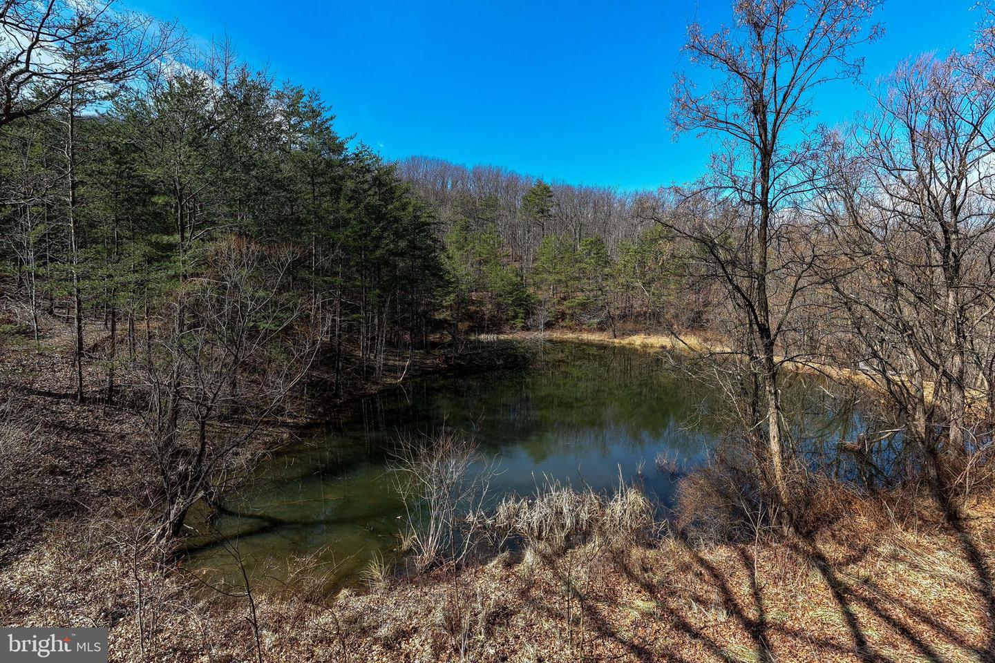 410 MCCOY LN, STANLEY, Virginia 22851, 5 Bedrooms Bedrooms, ,4 BathroomsBathrooms,Residential,For sale,410 MCCOY LN,VAPA2006020 MLS # VAPA2006020