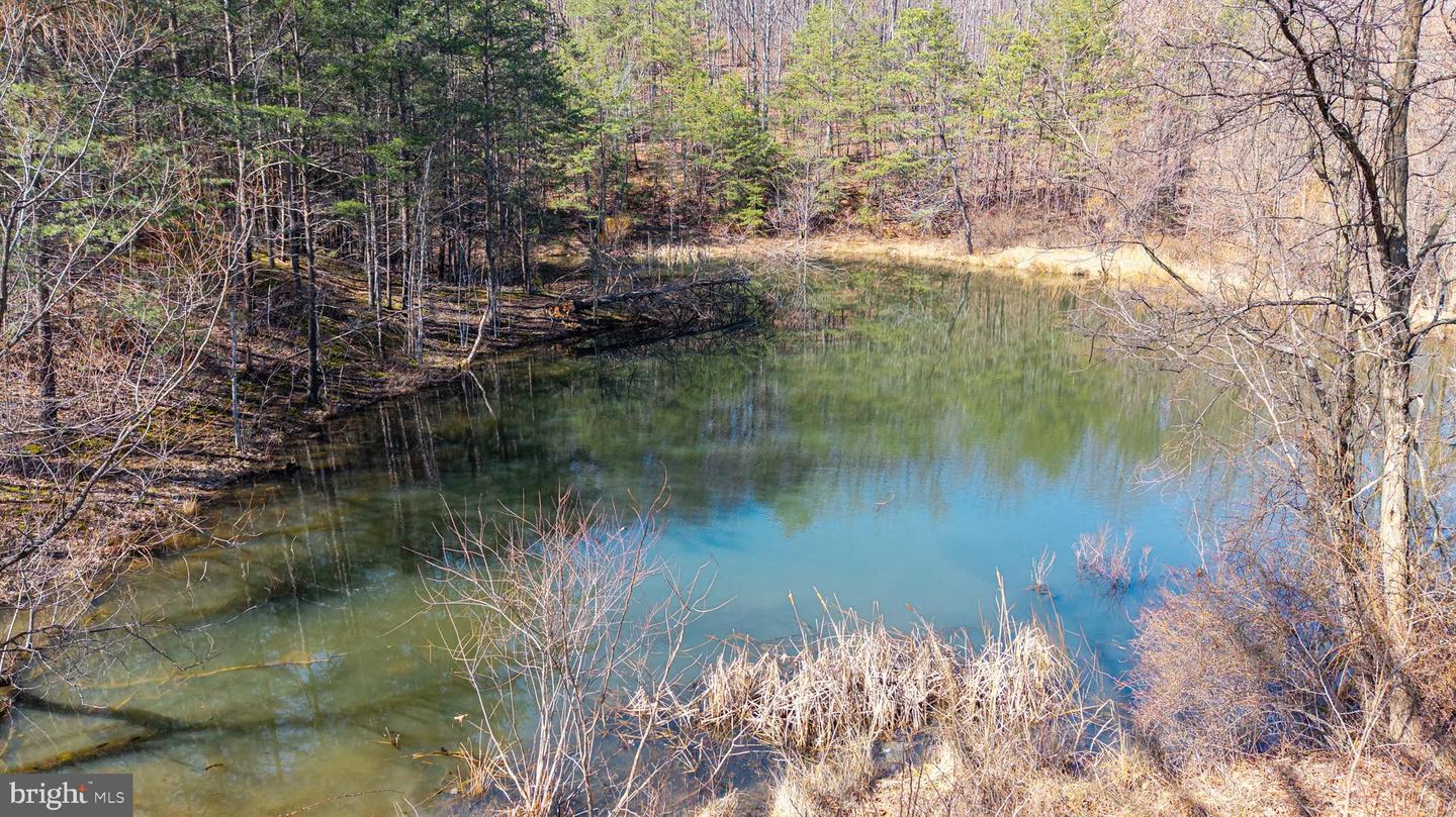 410 MCCOY LN, STANLEY, Virginia 22851, 5 Bedrooms Bedrooms, ,4 BathroomsBathrooms,Residential,For sale,410 MCCOY LN,VAPA2006020 MLS # VAPA2006020