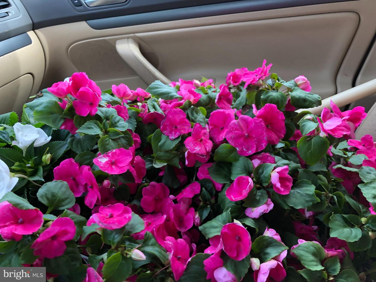 522-NW NW 21ST NW #1003, WASHINGTON, District Of Columbia 20006, ,Residential,For sale,522-NW NW 21ST NW #1003,DCDC2246512 MLS # DCDC2246512