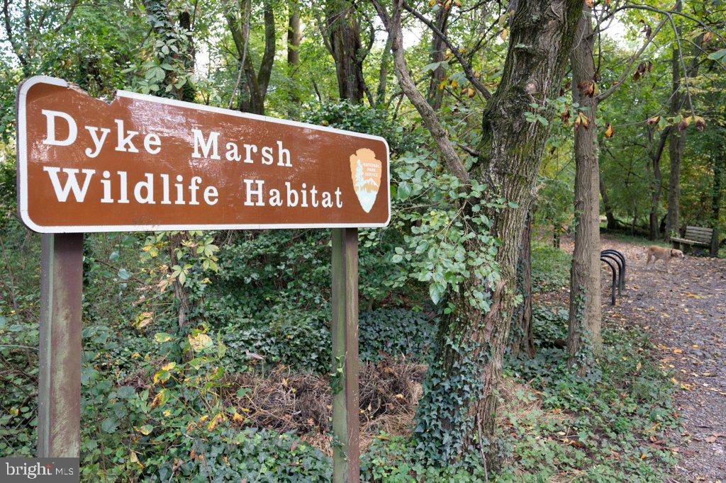 8007 NOEL ST, ALEXANDRIA, Virginia 22309, 3 Bedrooms Bedrooms, ,2 BathroomsBathrooms,Residential,For sale,8007 NOEL ST,VAFX2291506 MLS # VAFX2291506